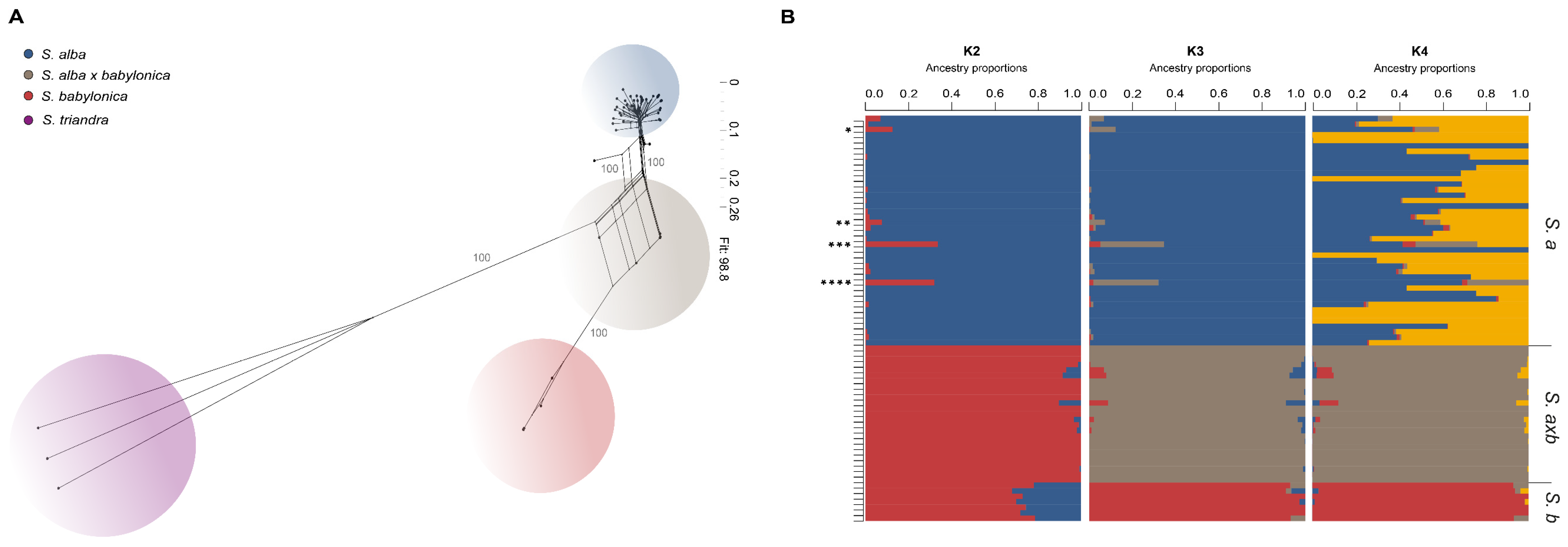 Genes 16 00958 g002