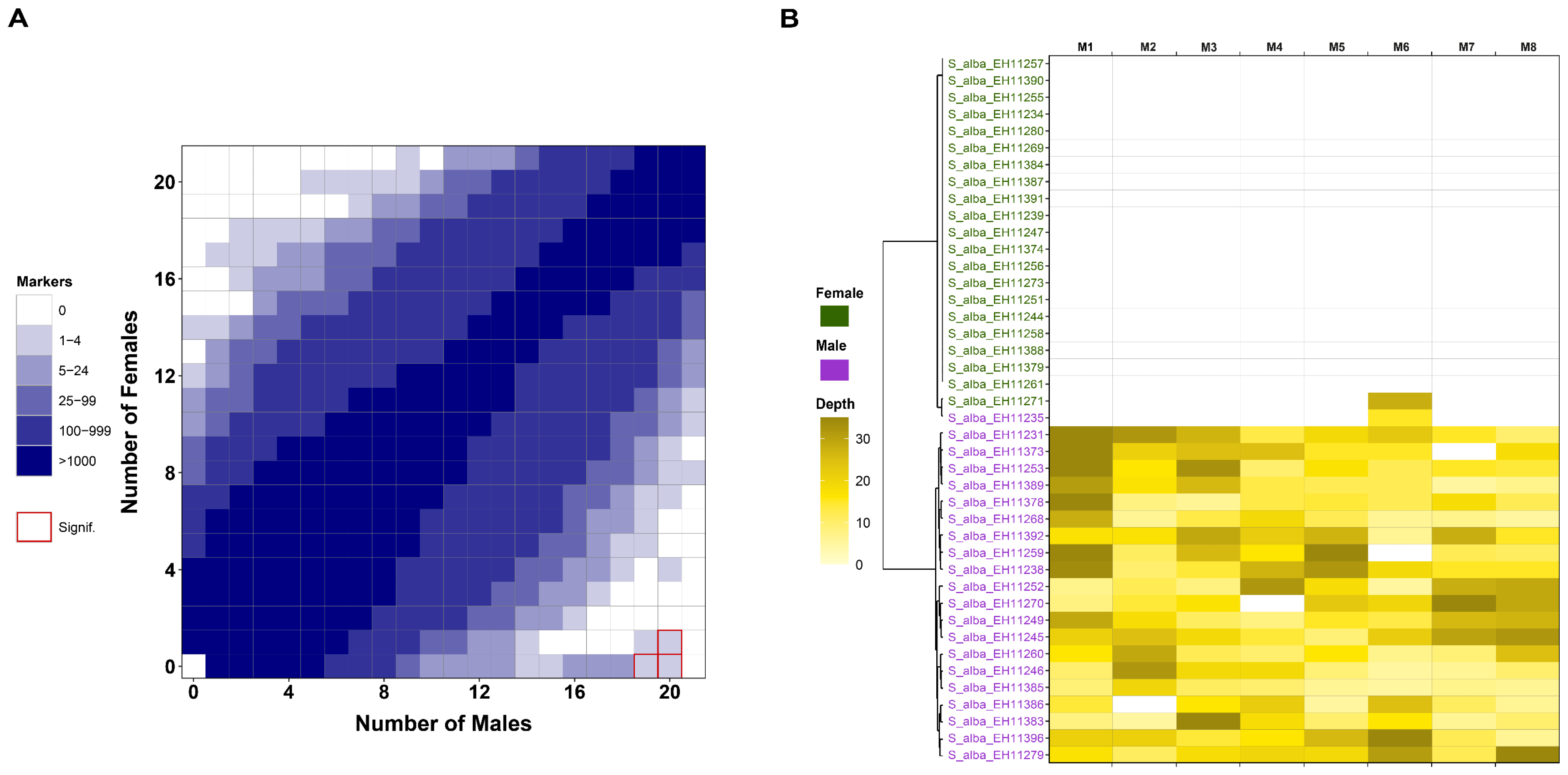 Genes 16 00958 g004