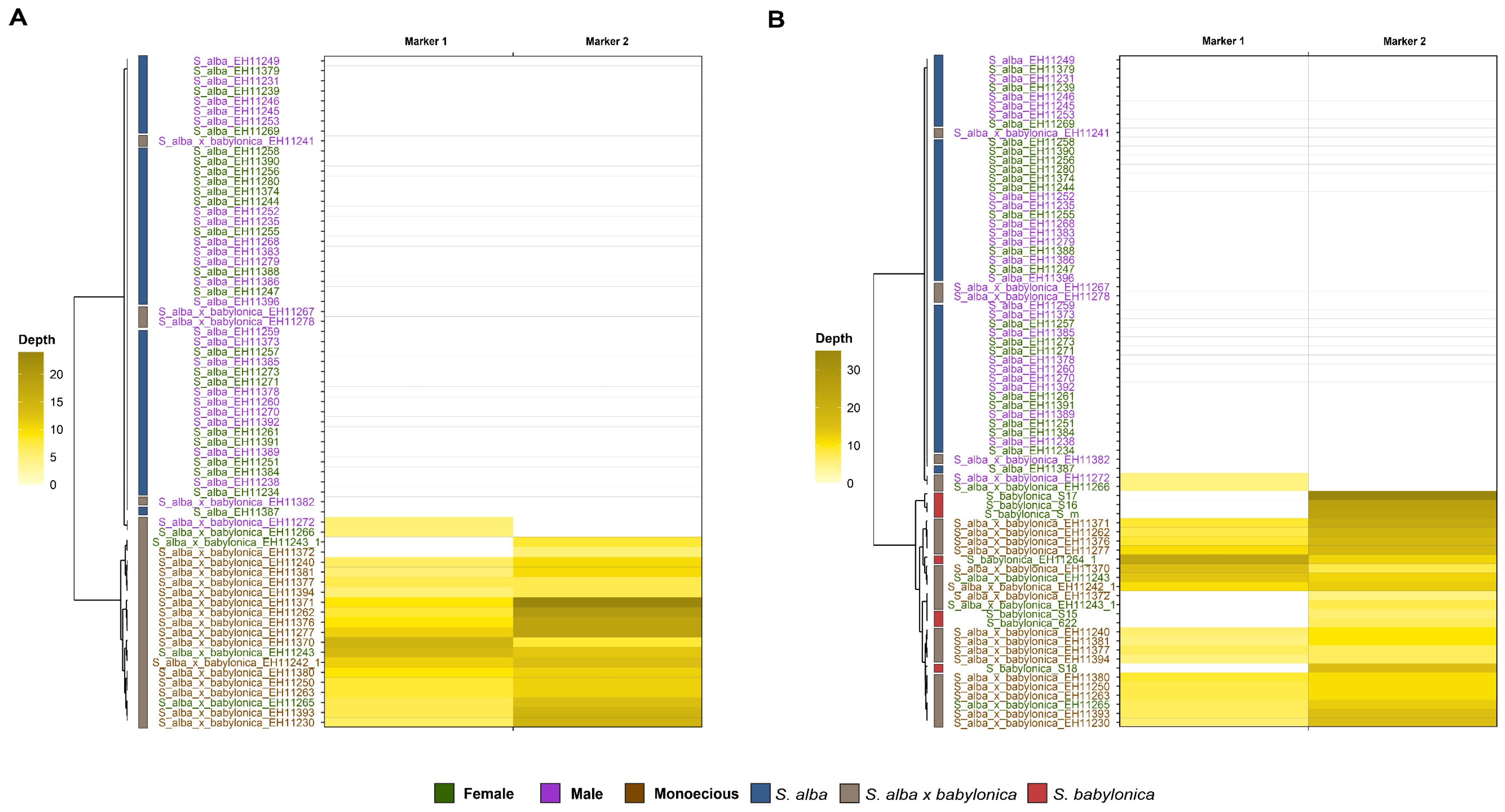Genes 16 00958 g005