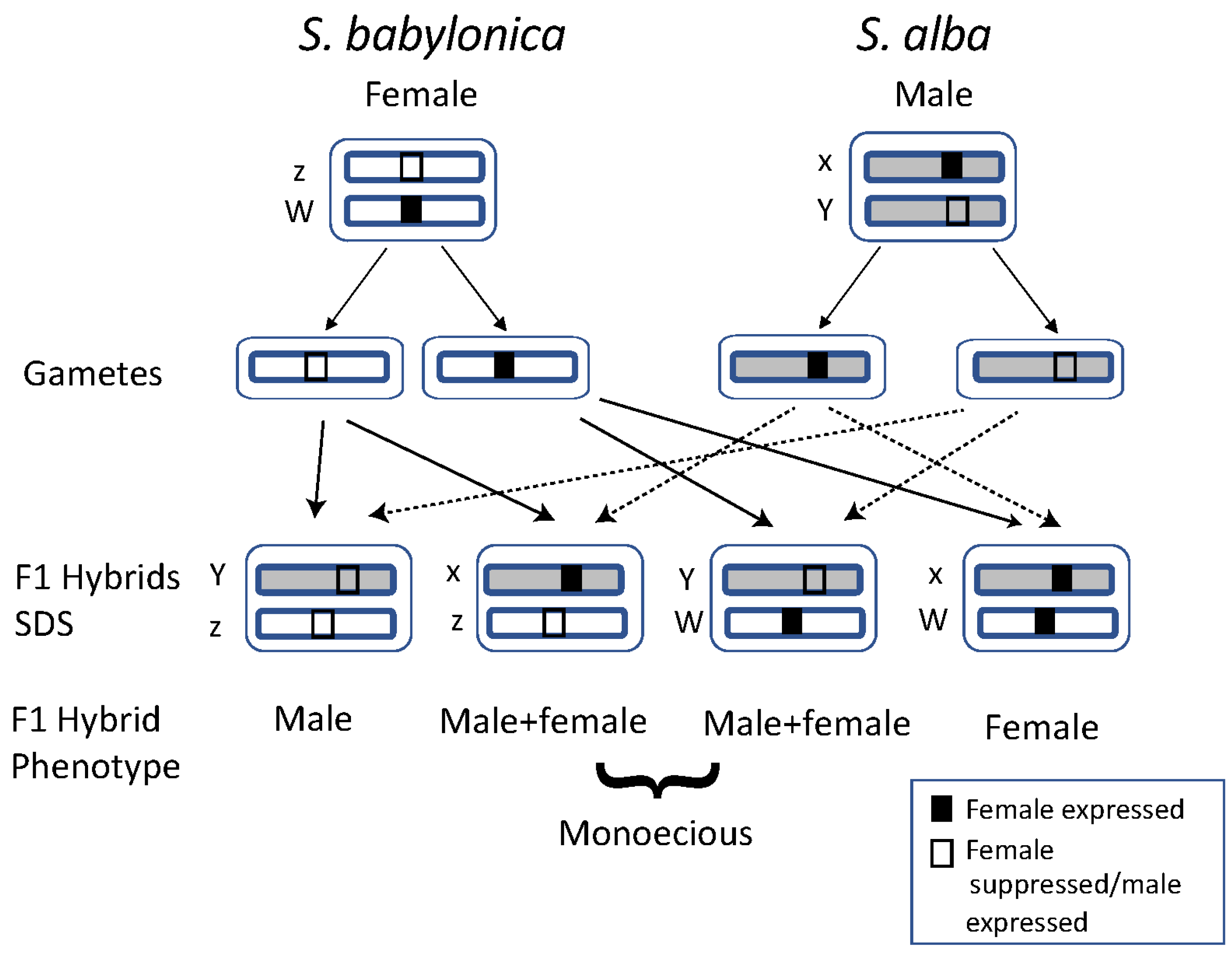 Genes 16 00958 g006