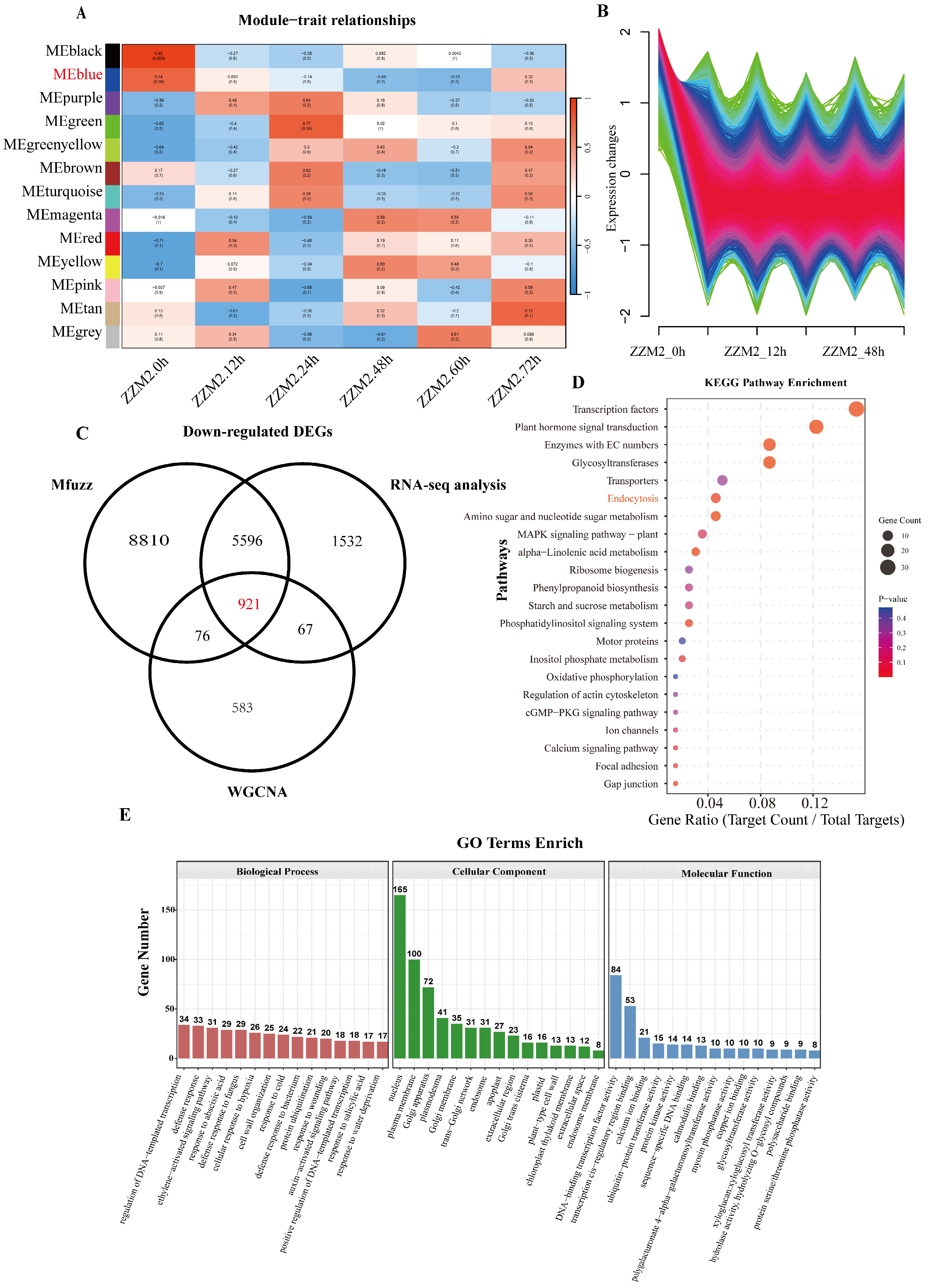 Genes 16 00961 g001
