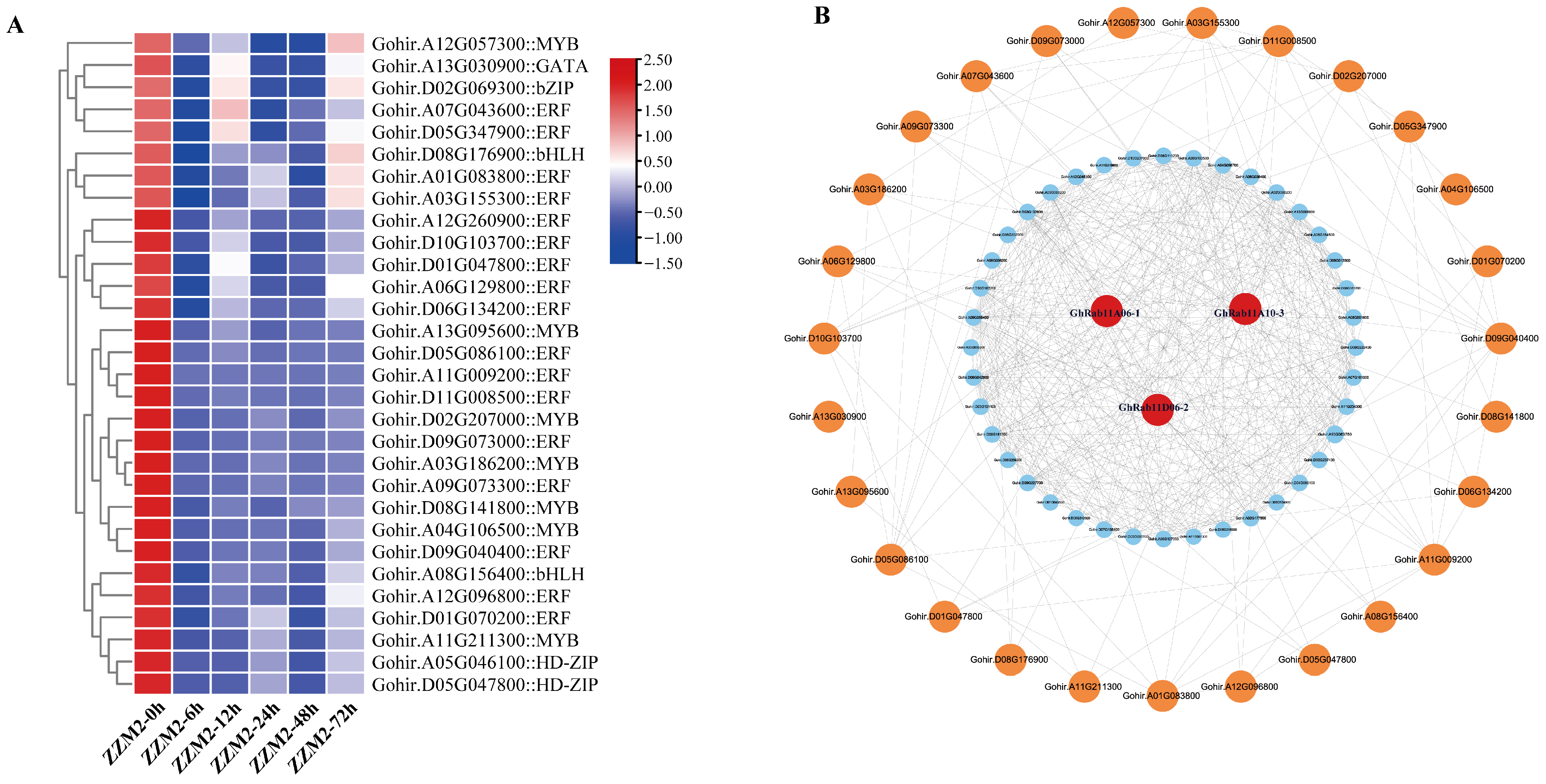 Genes 16 00961 g006