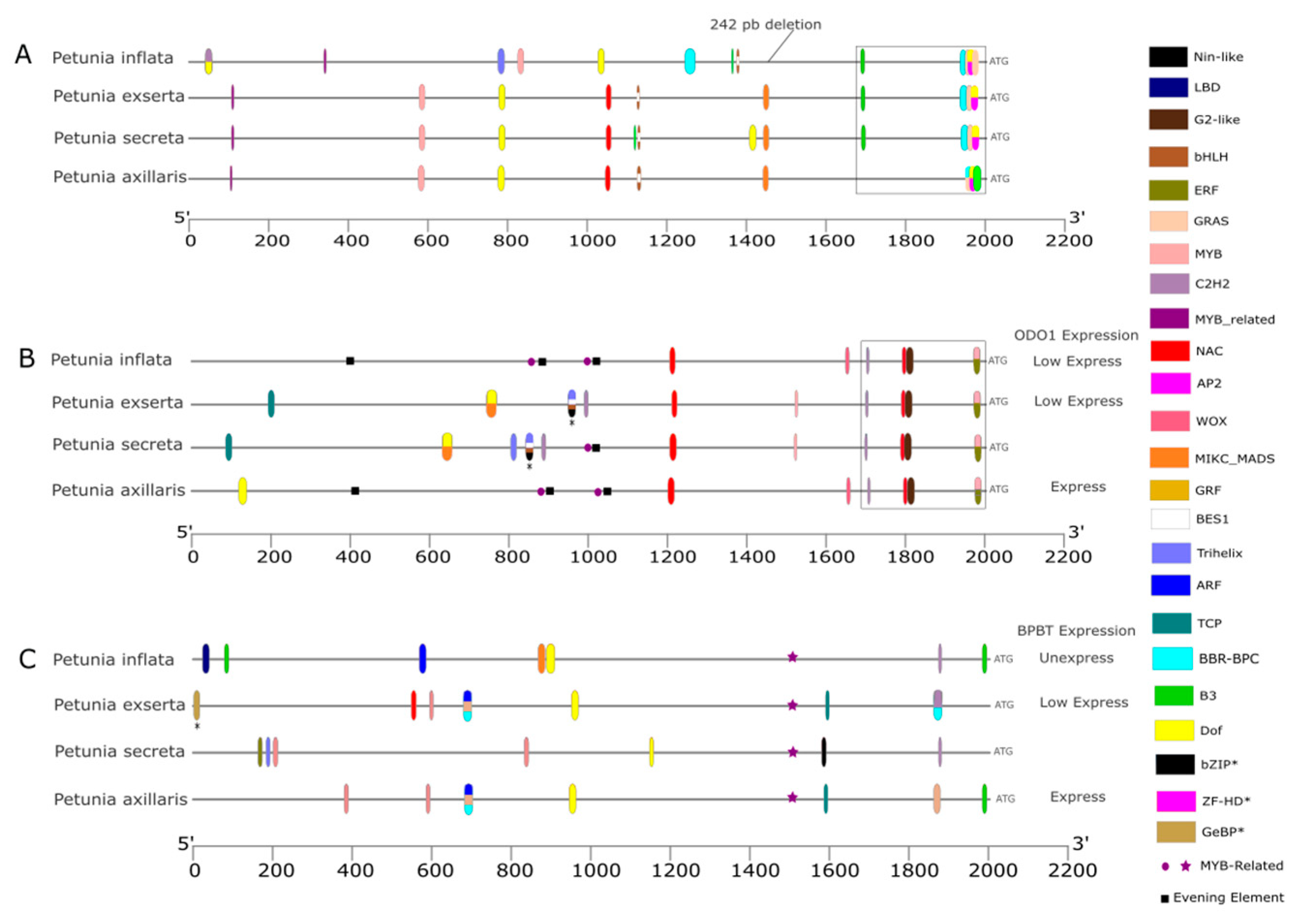 Genes 16 00963 g003 Genes 16 00963 g003