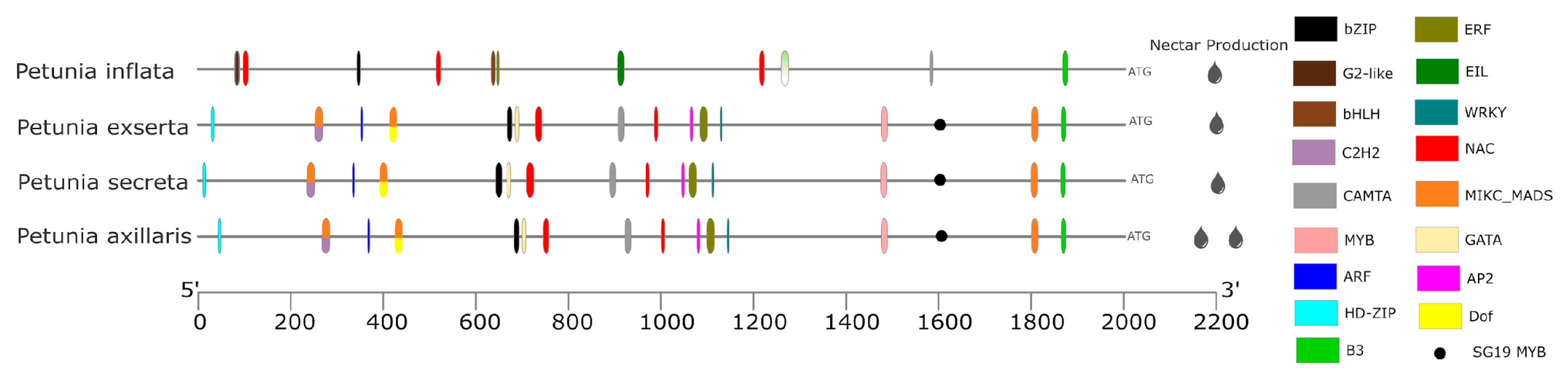 Genes 16 00963 g004 Genes 16 00963 g004