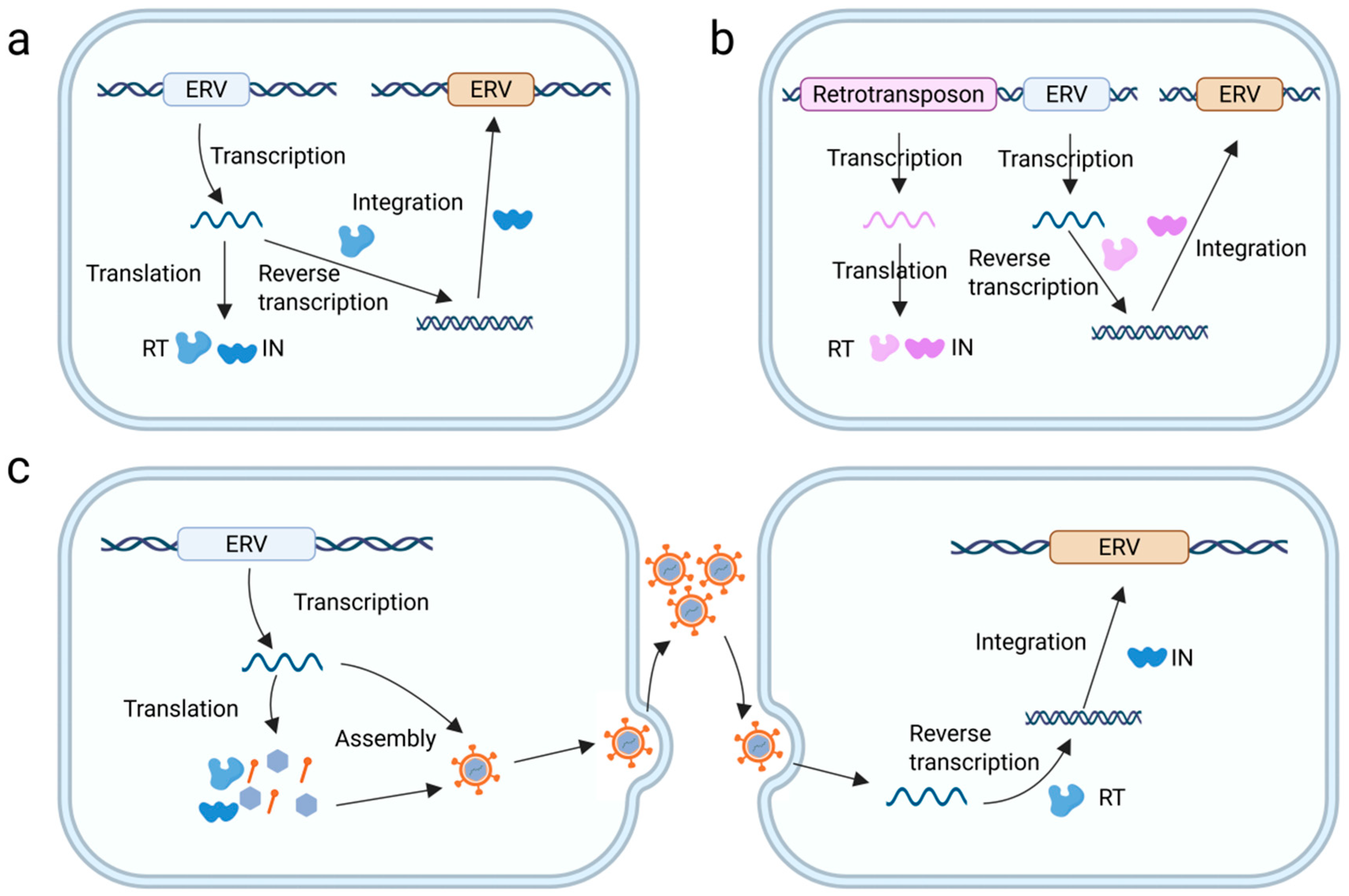 Genes 16 00964 g001 Genes 16 00964 g001