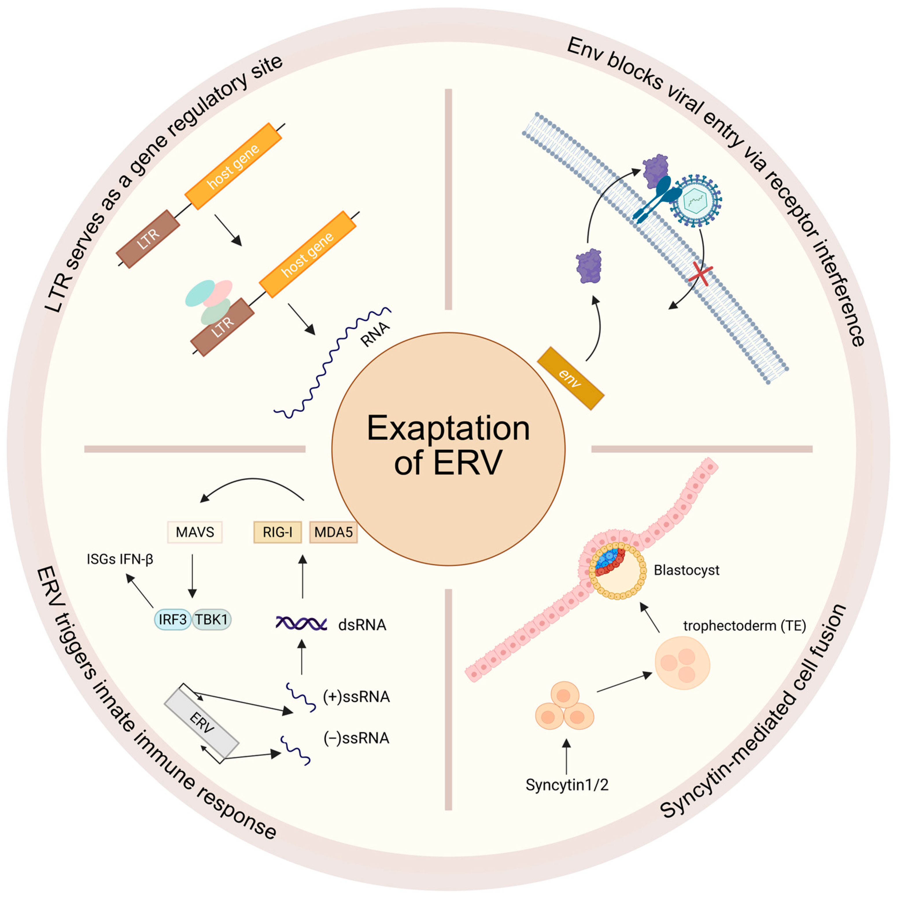 Genes 16 00964 g002 Genes 16 00964 g002