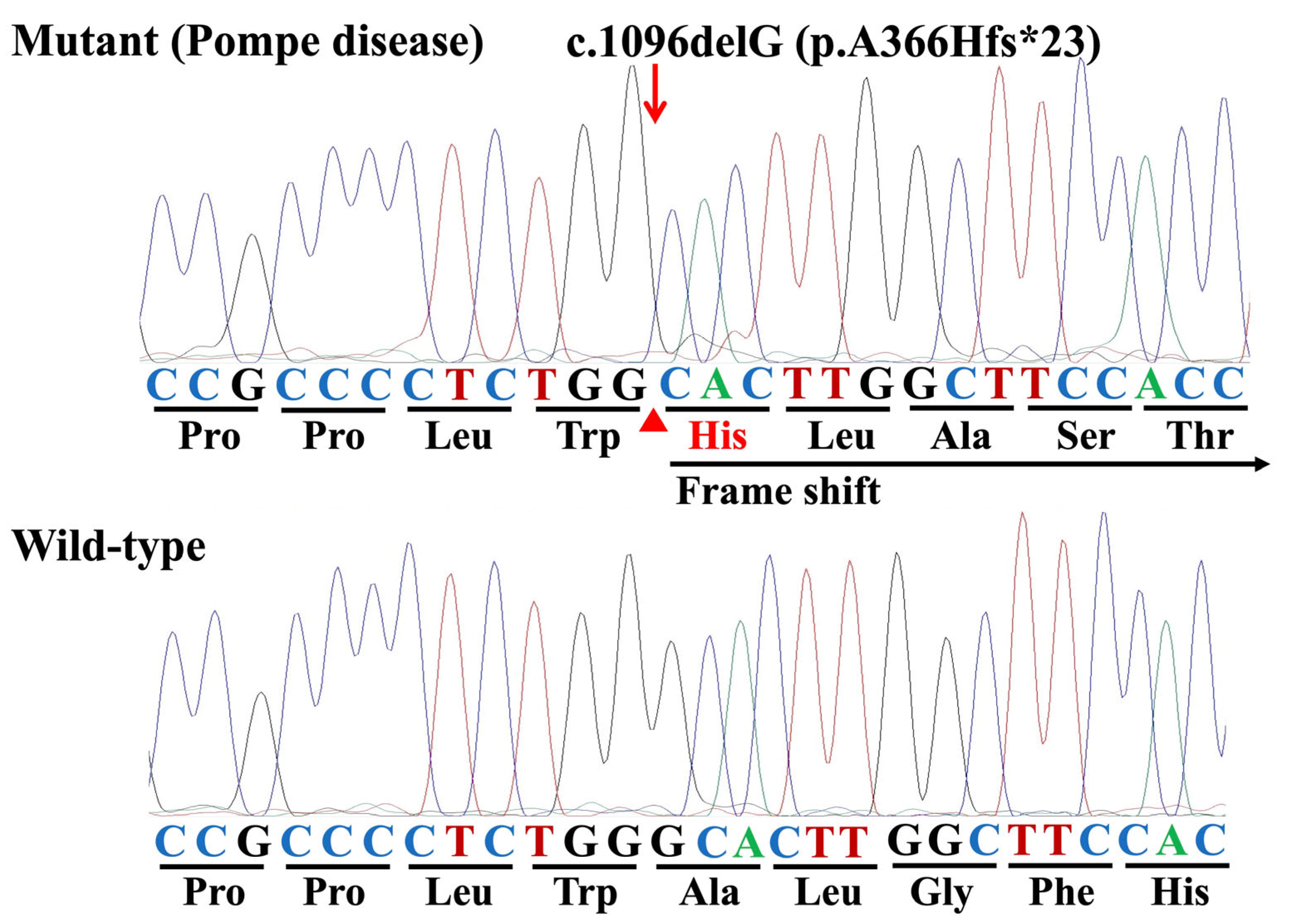 Genes 16 00975 g004