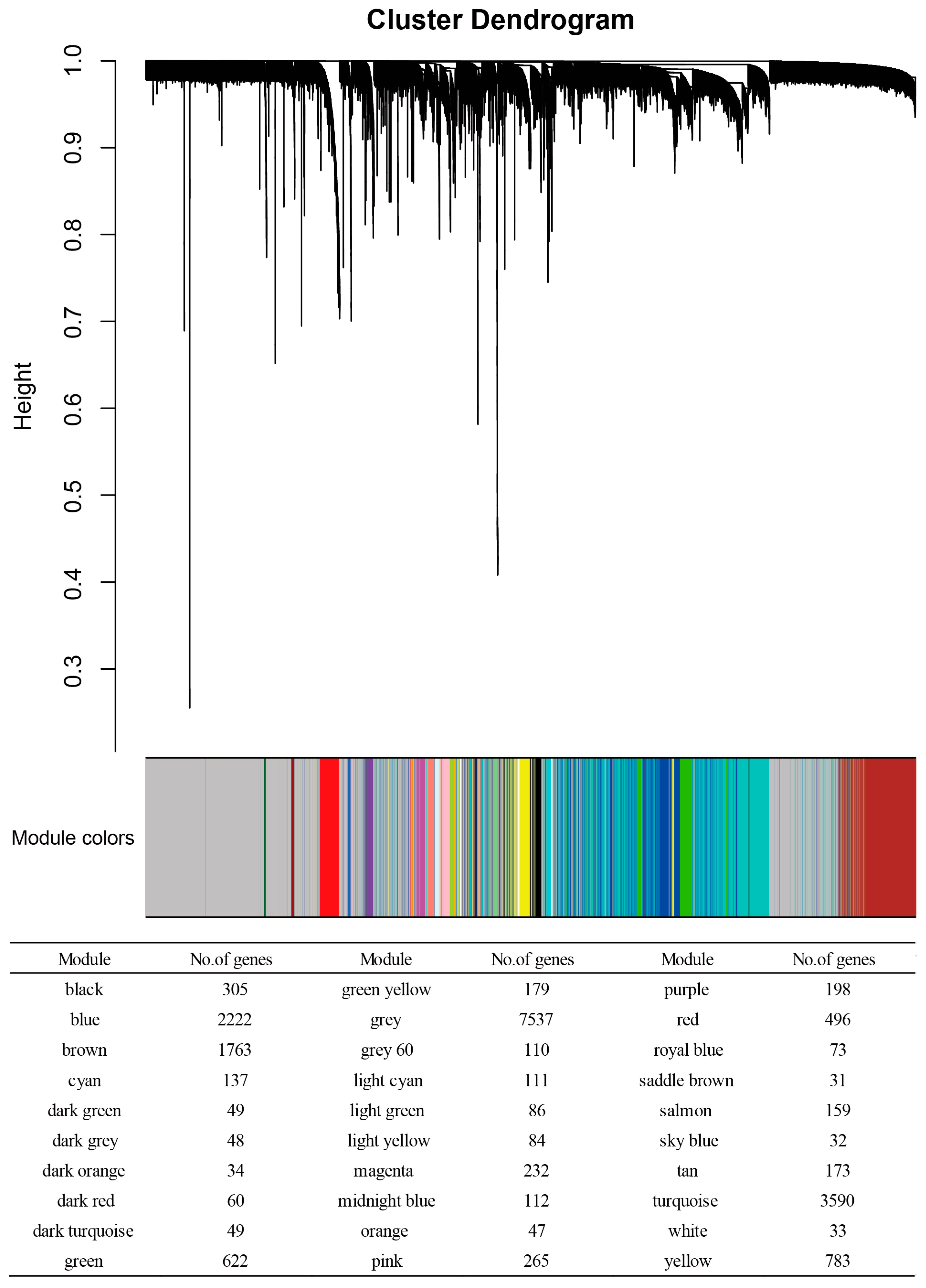 Genes 16 00976 g001 Genes 16 00976 g001