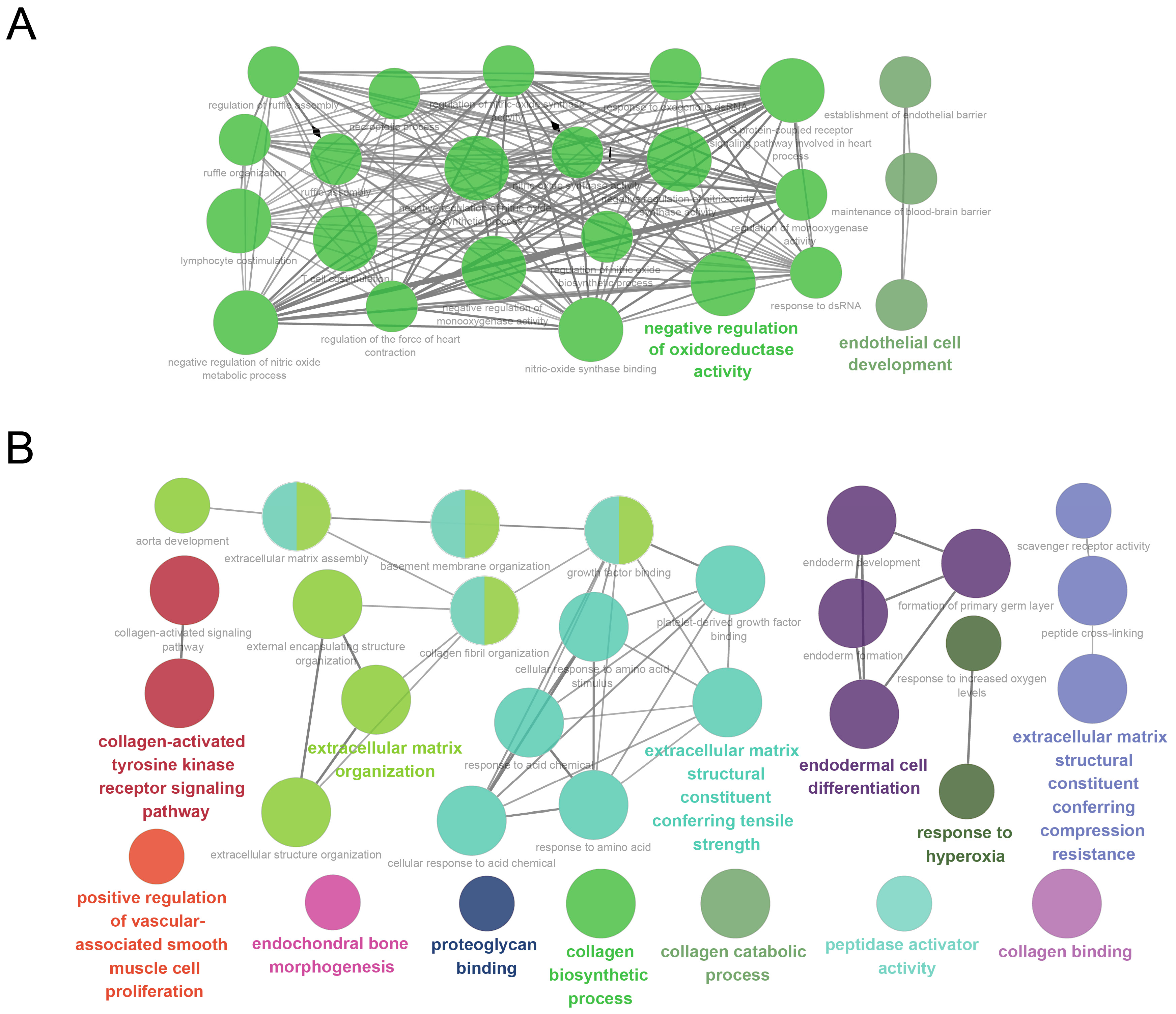 Genes 16 00976 g005 Genes 16 00976 g005