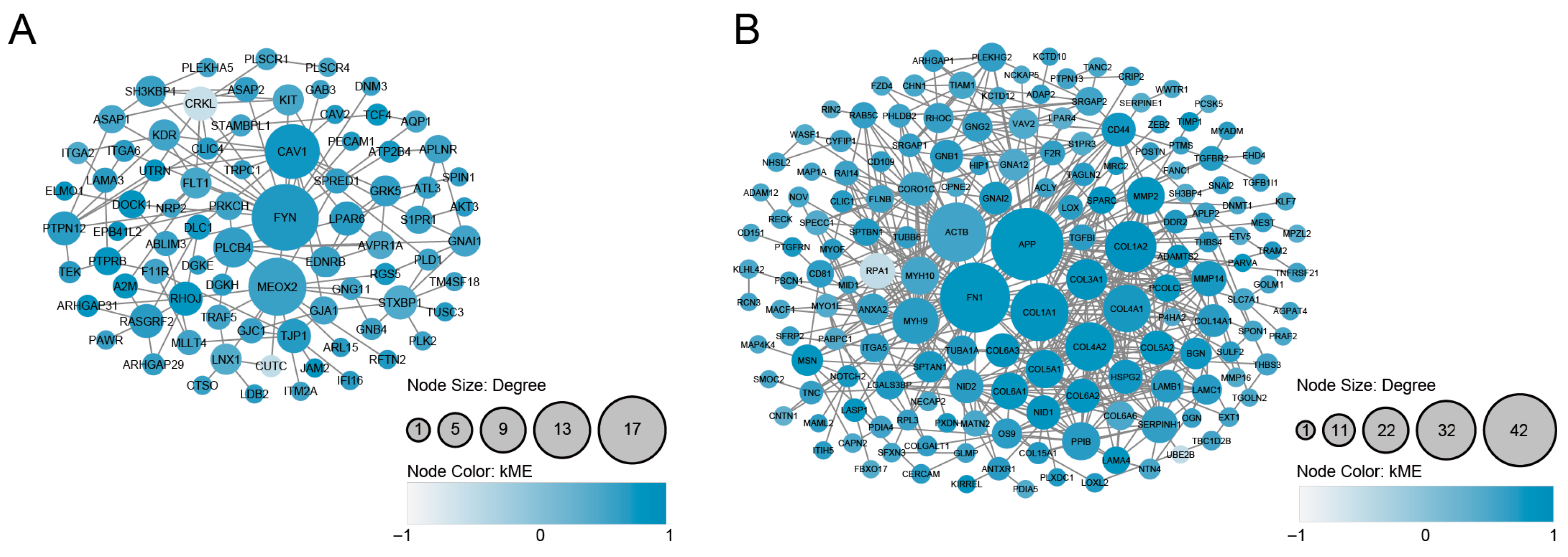 Genes 16 00976 g006 Genes 16 00976 g006