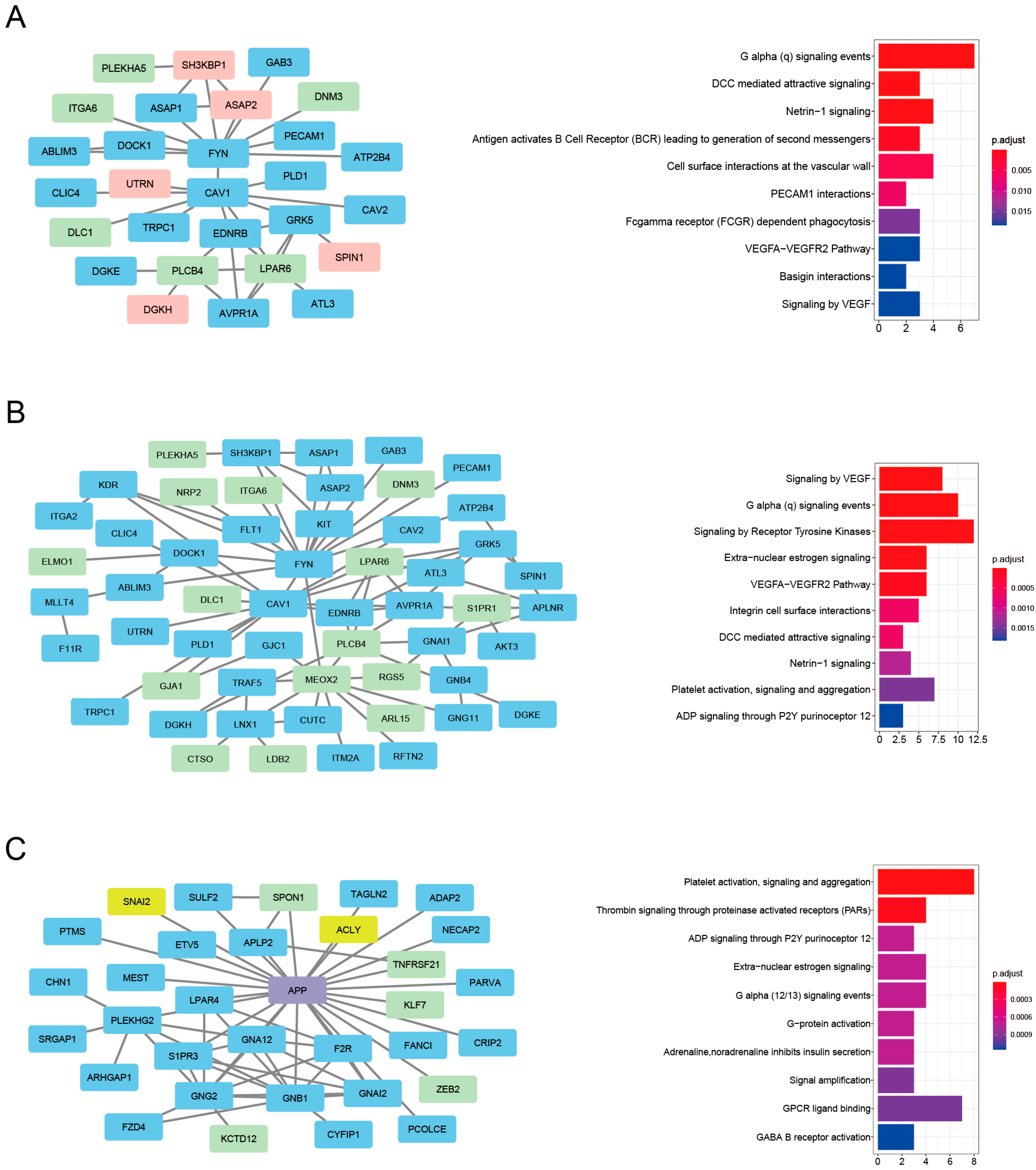 Genes 16 00976 g008 Genes 16 00976 g008