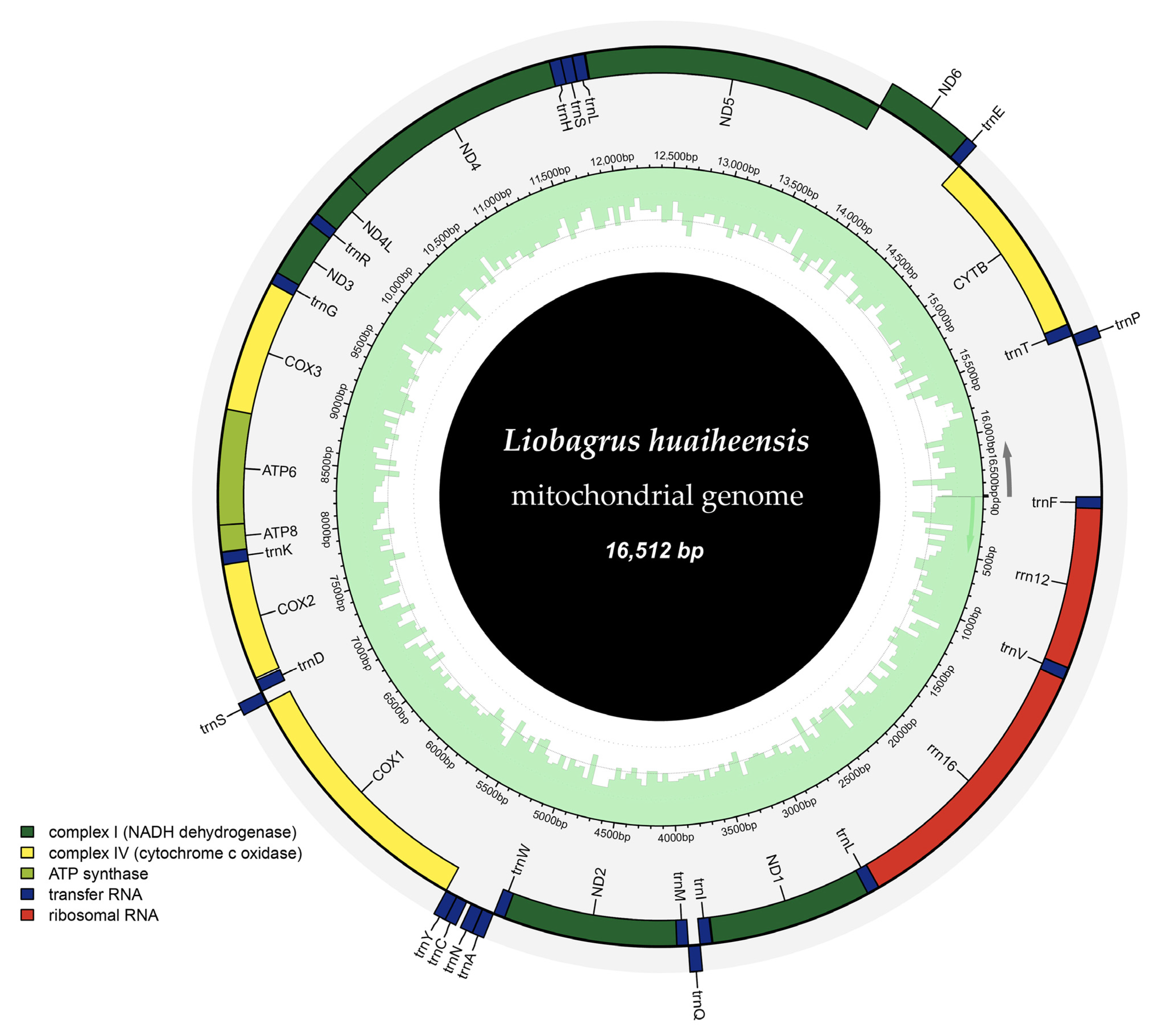 Genes 16 00977 g002 Genes 16 00977 g002