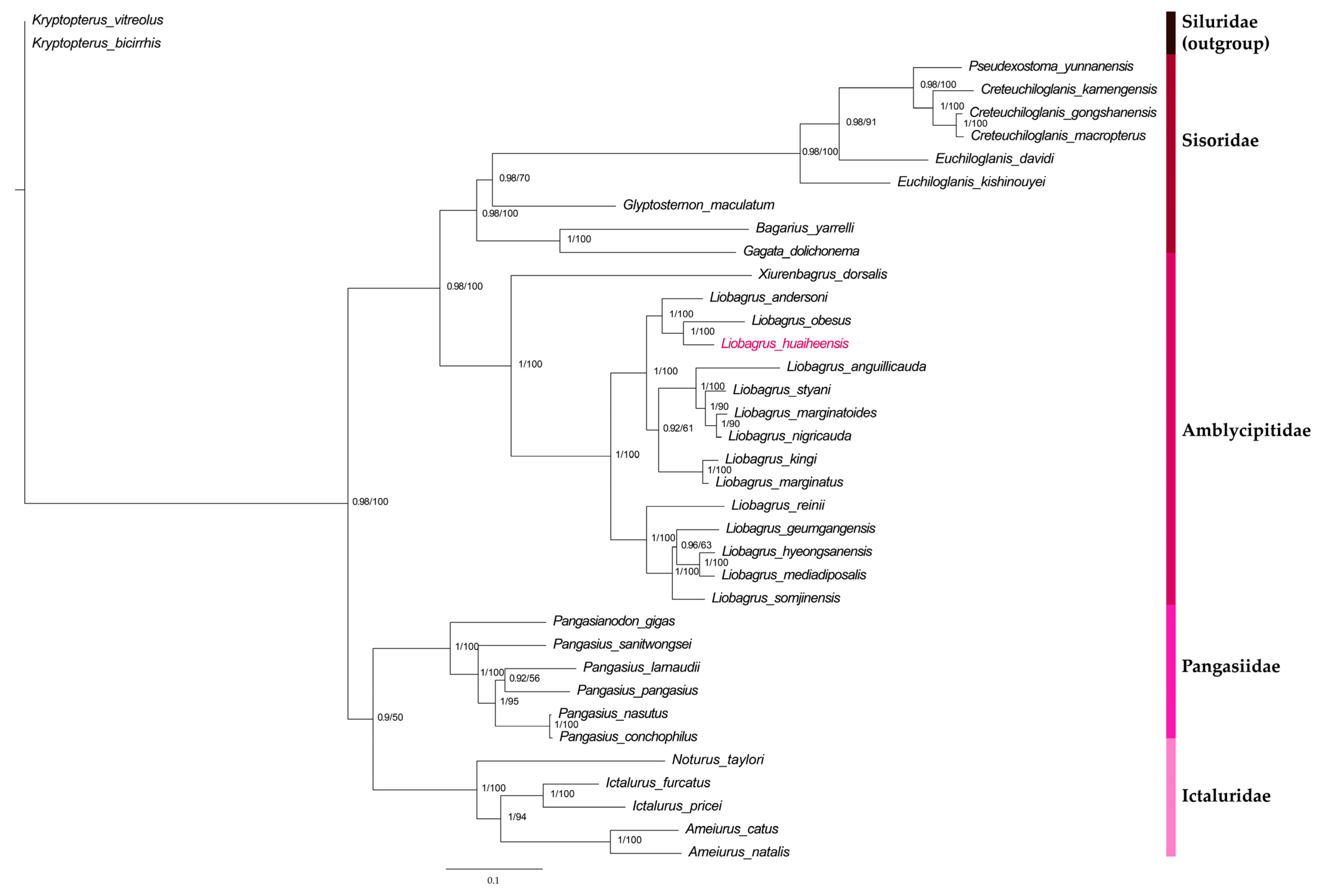 Genes 16 00977 g007 Genes 16 00977 g007
