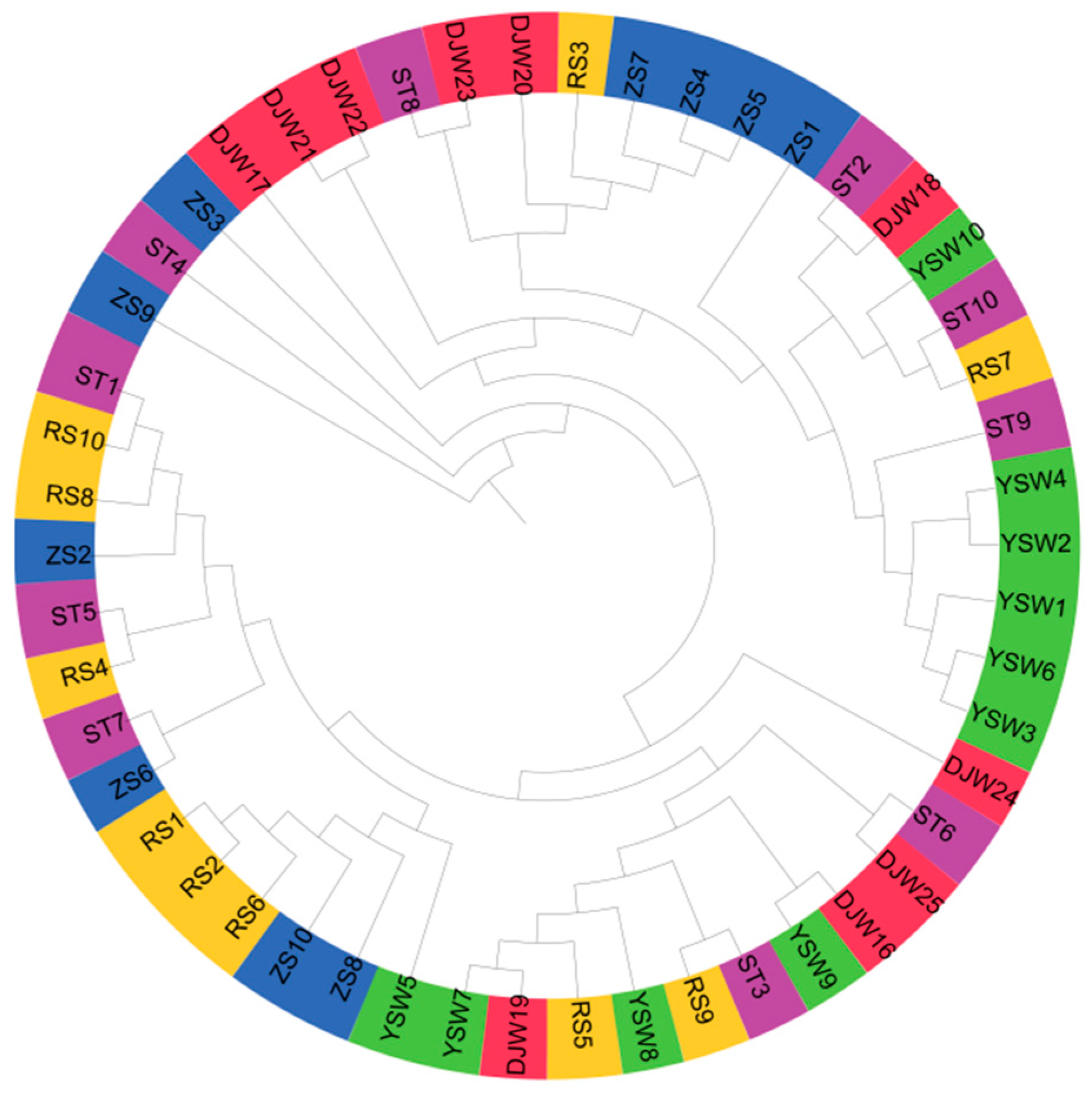 Genes 16 00978 g003