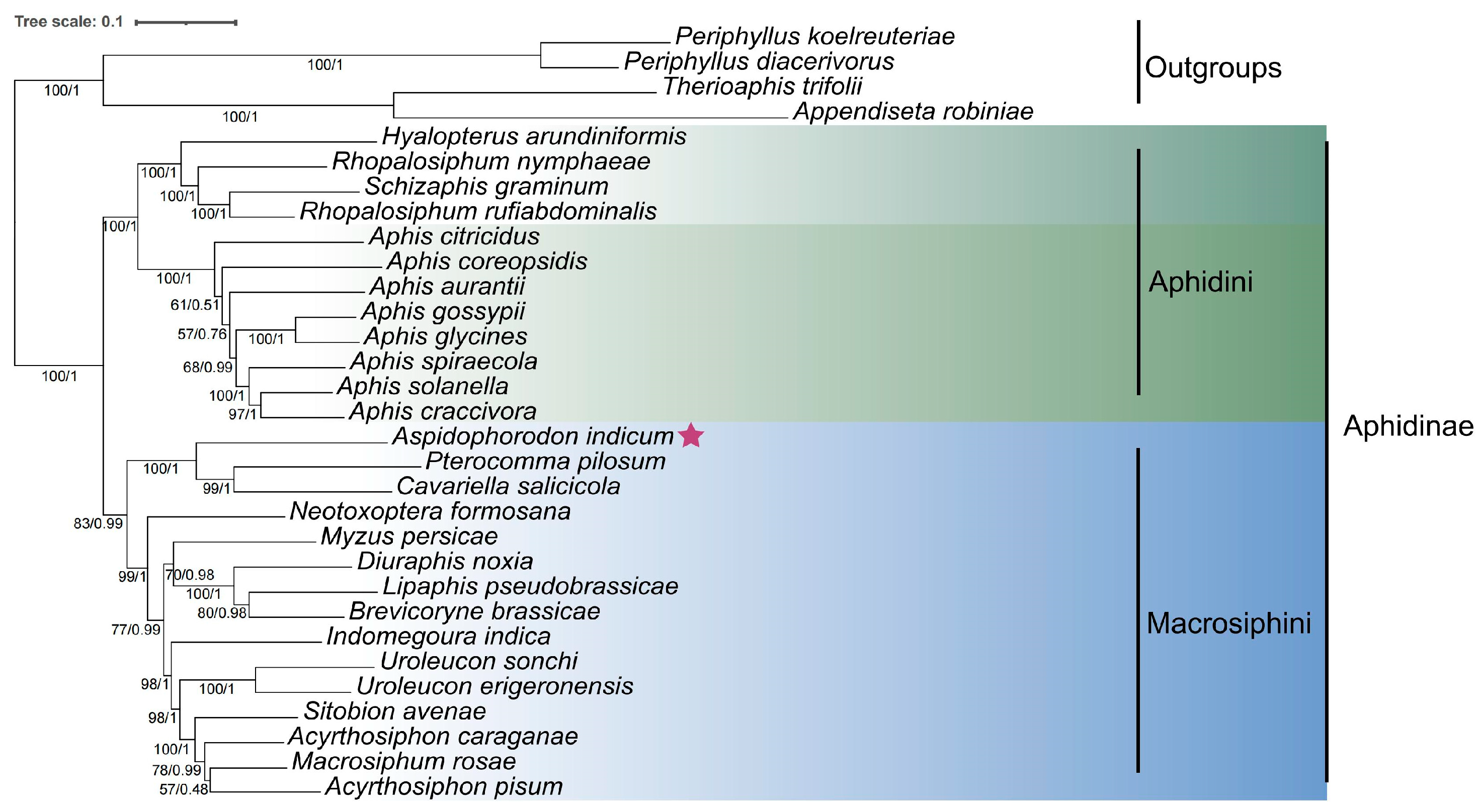 Genes 16 00979 g004 Genes 16 00979 g004