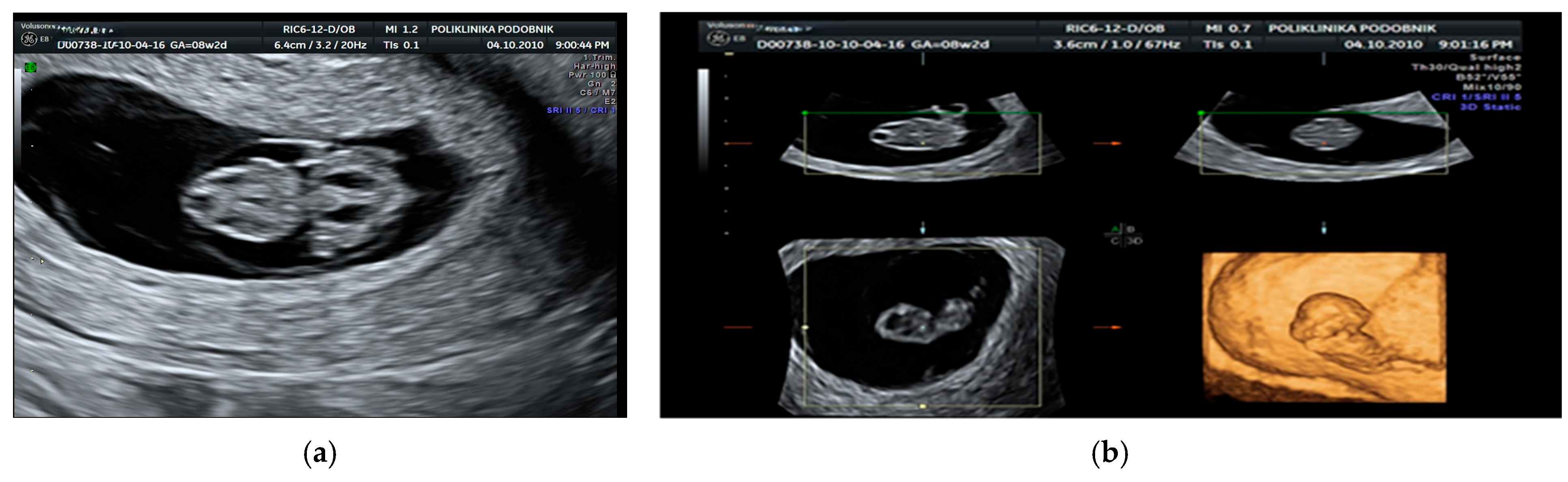 Genes 16 00980 g001 Genes 16 00980 g001