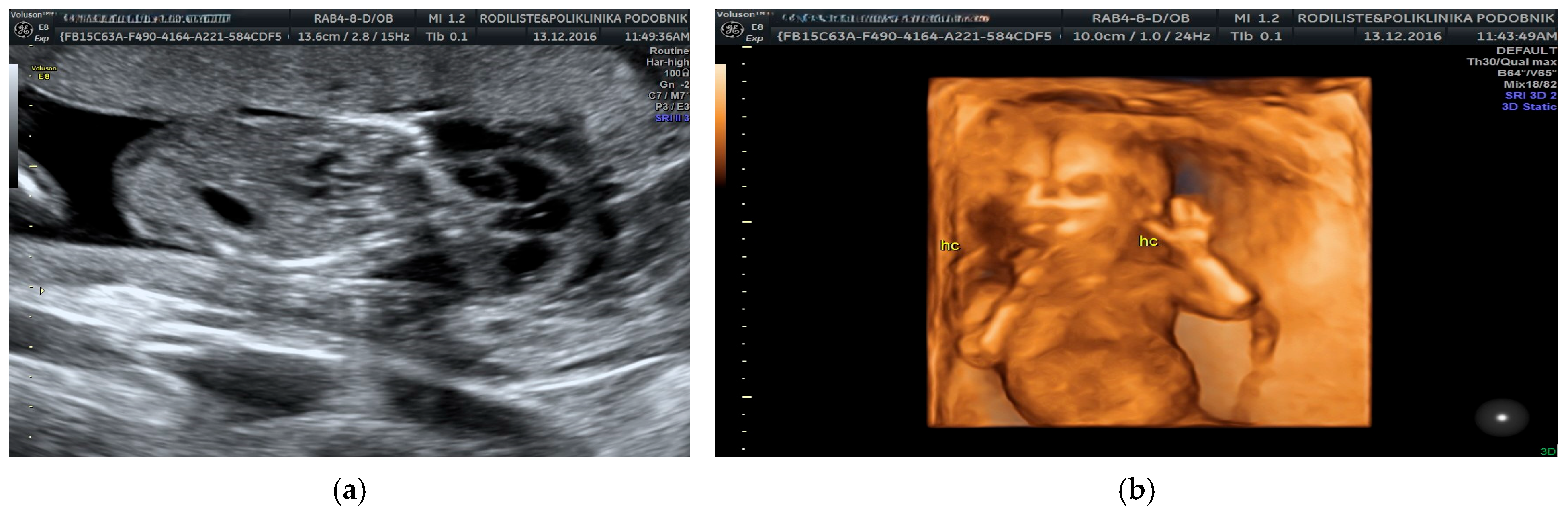 Genes 16 00980 g002 Genes 16 00980 g002