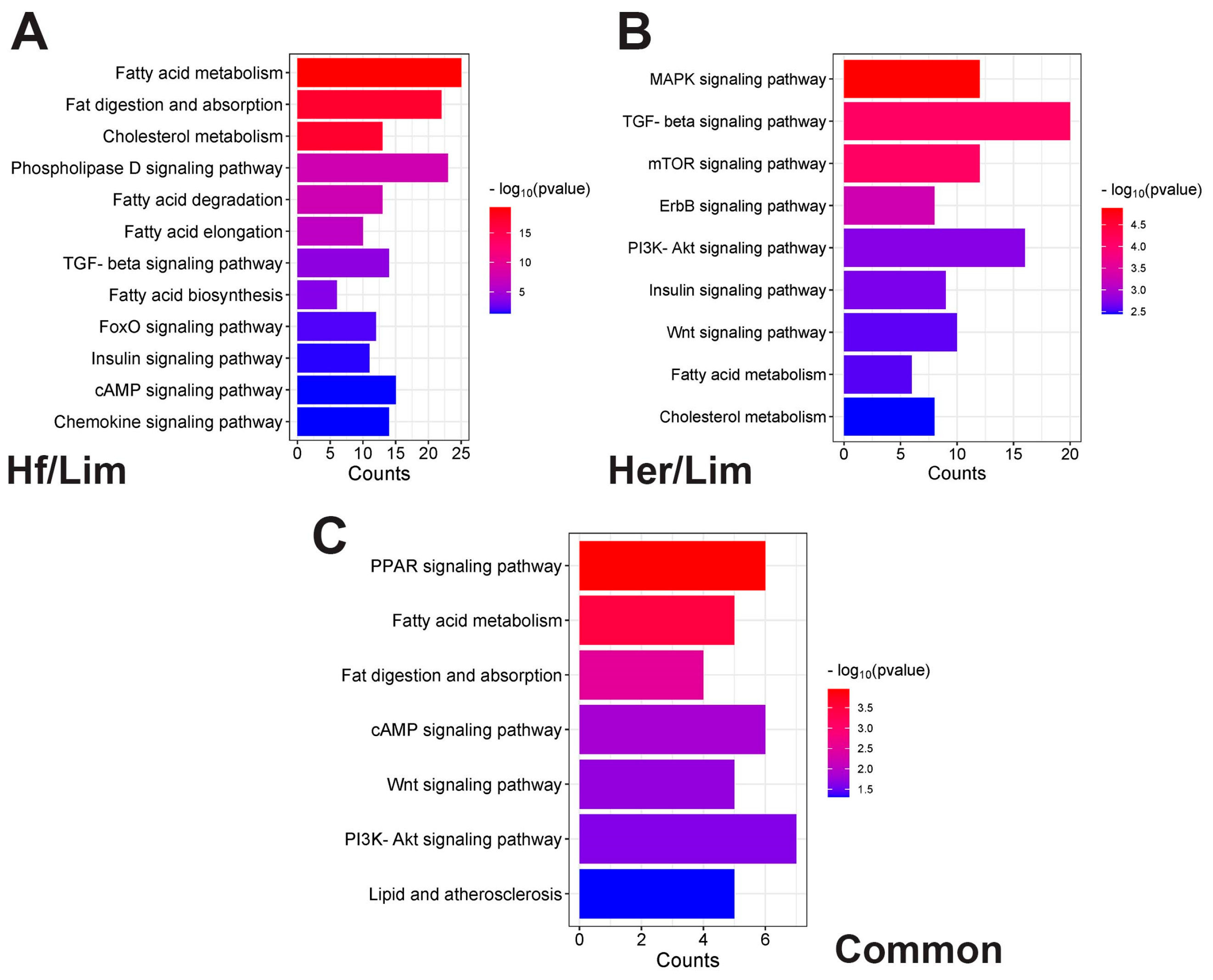 Genes 16 00984 g004