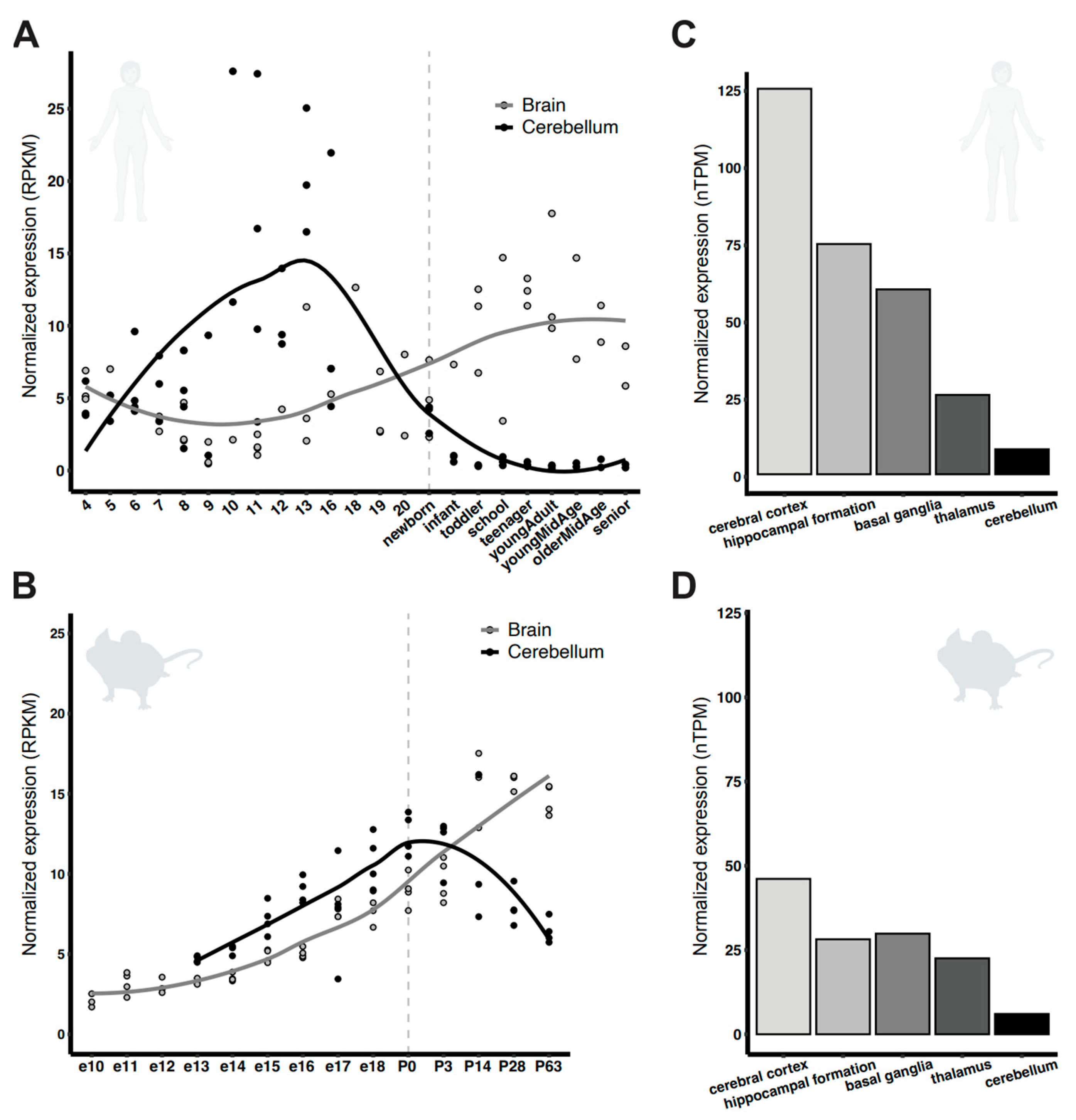 Genes 16 00985 g001 Genes 16 00985 g001