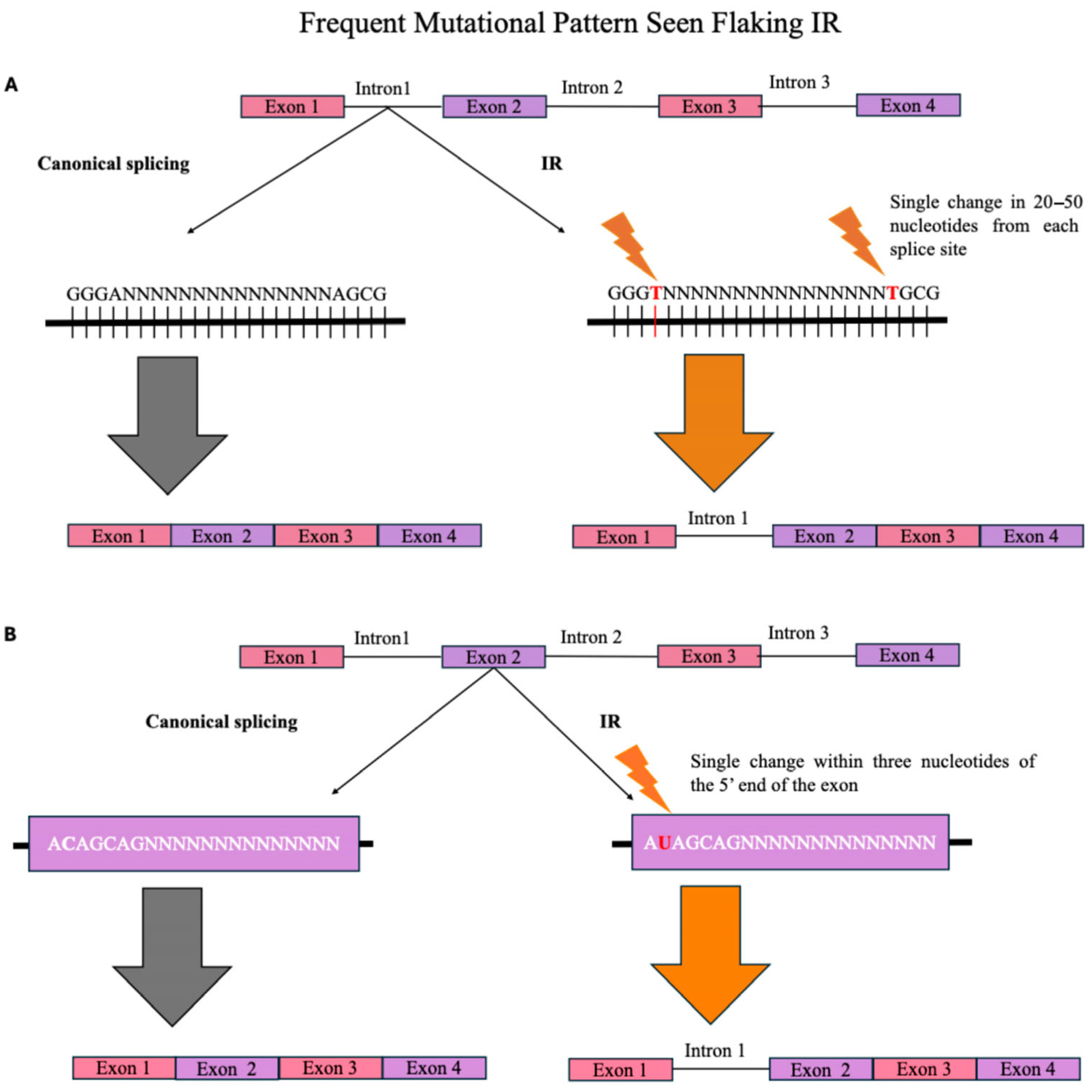 Genes 16 00986 g002 Genes 16 00986 g002