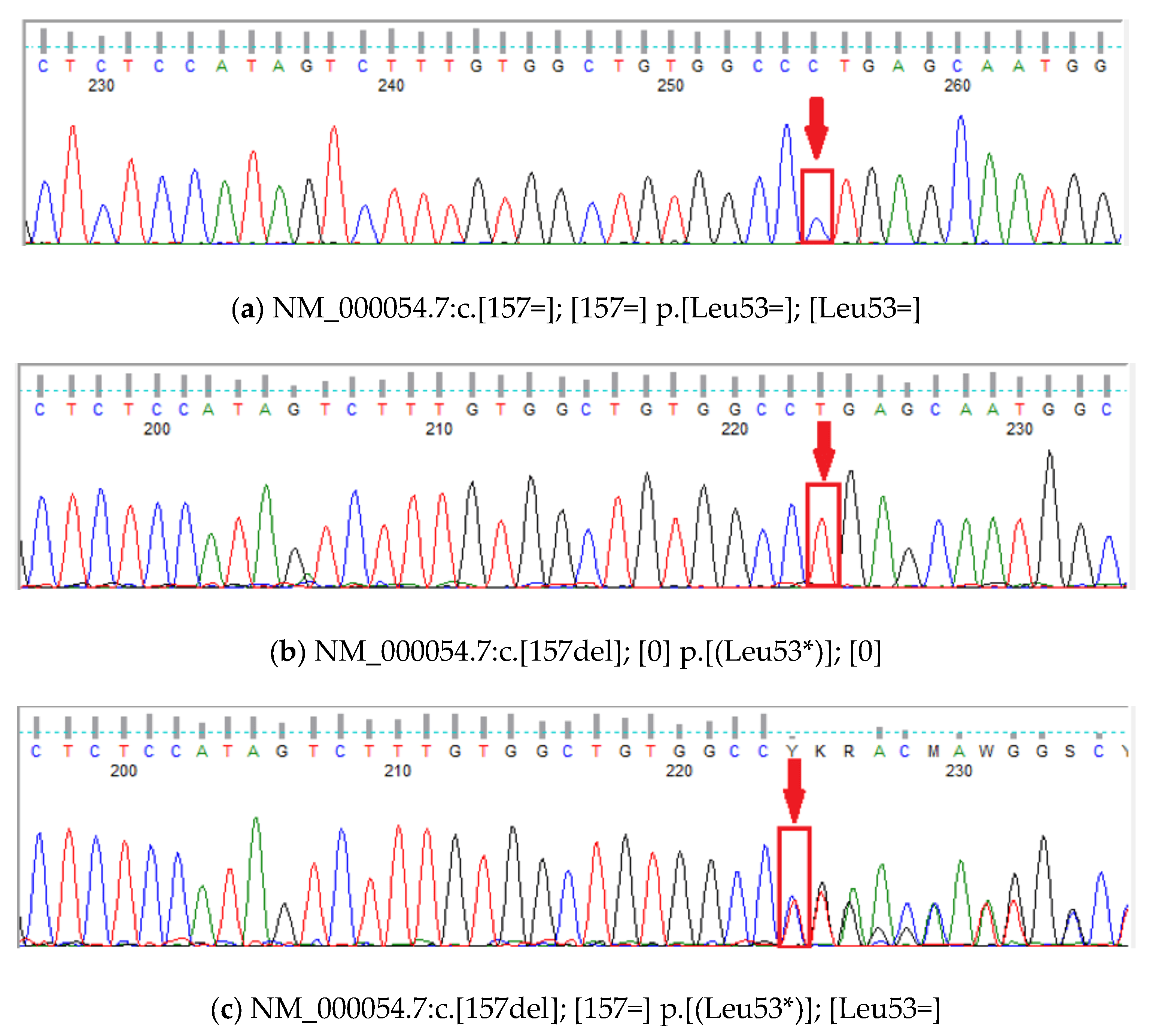 Genes 16 00989 g001