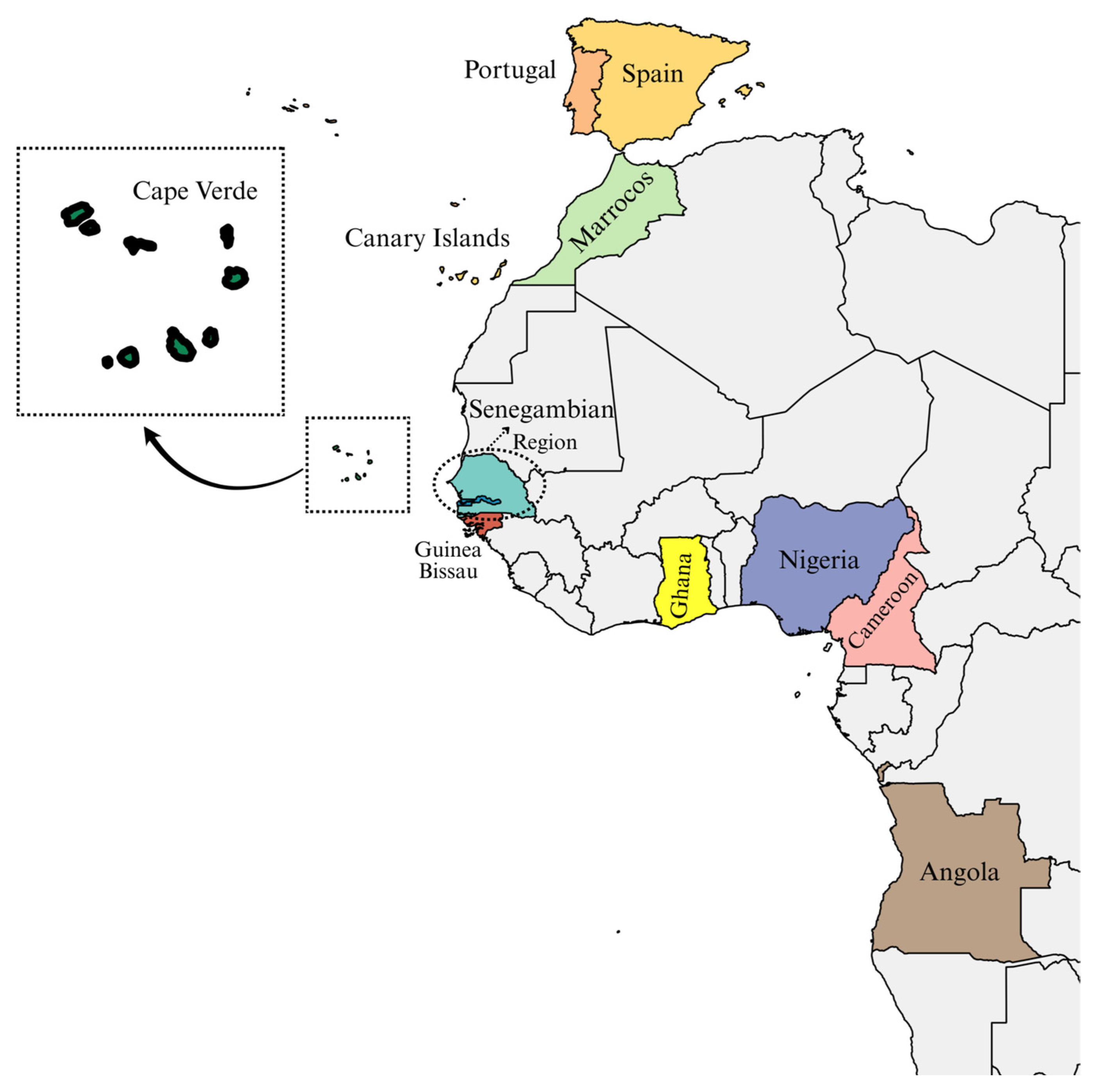 Genes 16 00999 g001 Genes 16 00999 g001