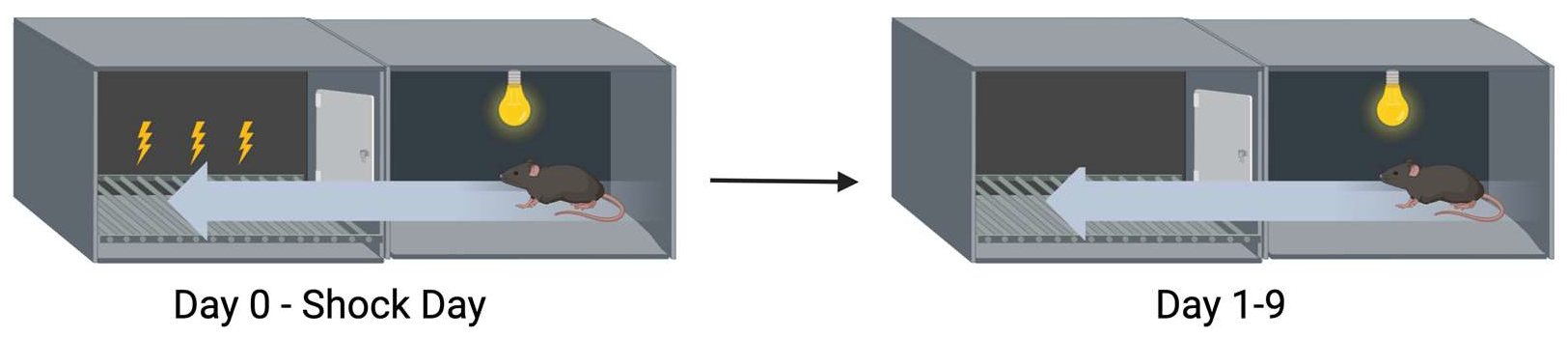 Genes 16 01004 g002 Genes 16 01004 g002