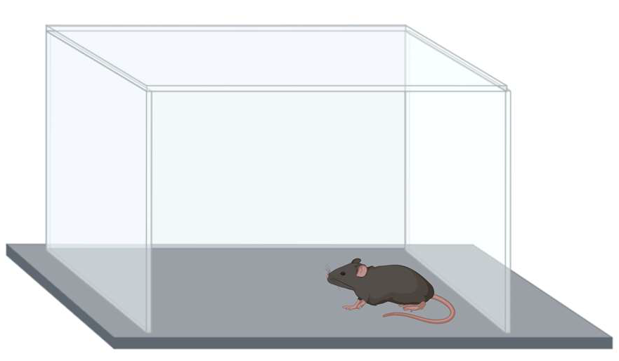 Genes 16 01004 g003 Genes 16 01004 g003