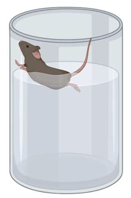 Genes 16 01004 g004 Genes 16 01004 g004