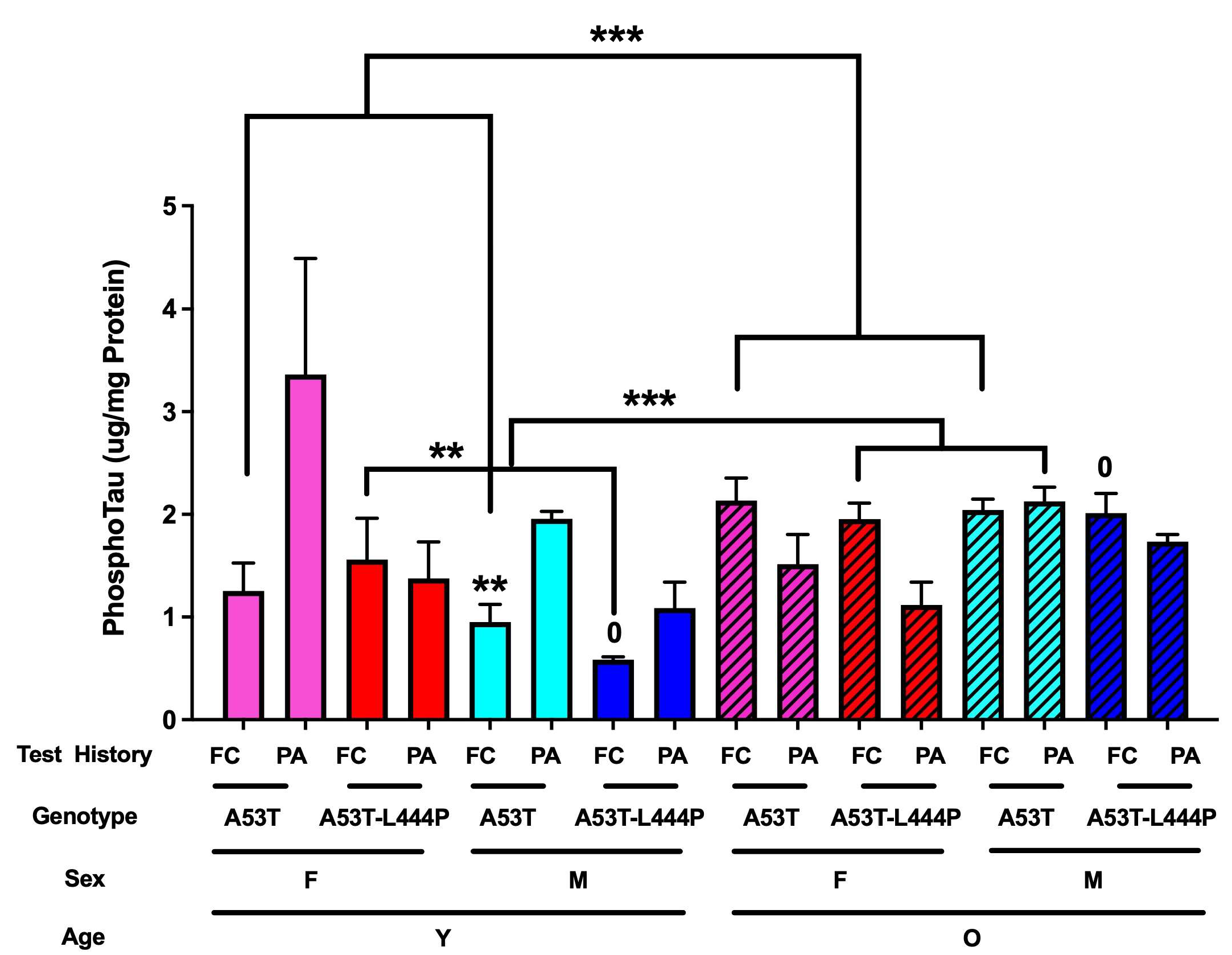 Genes 16 01004 g012 Genes 16 01004 g012