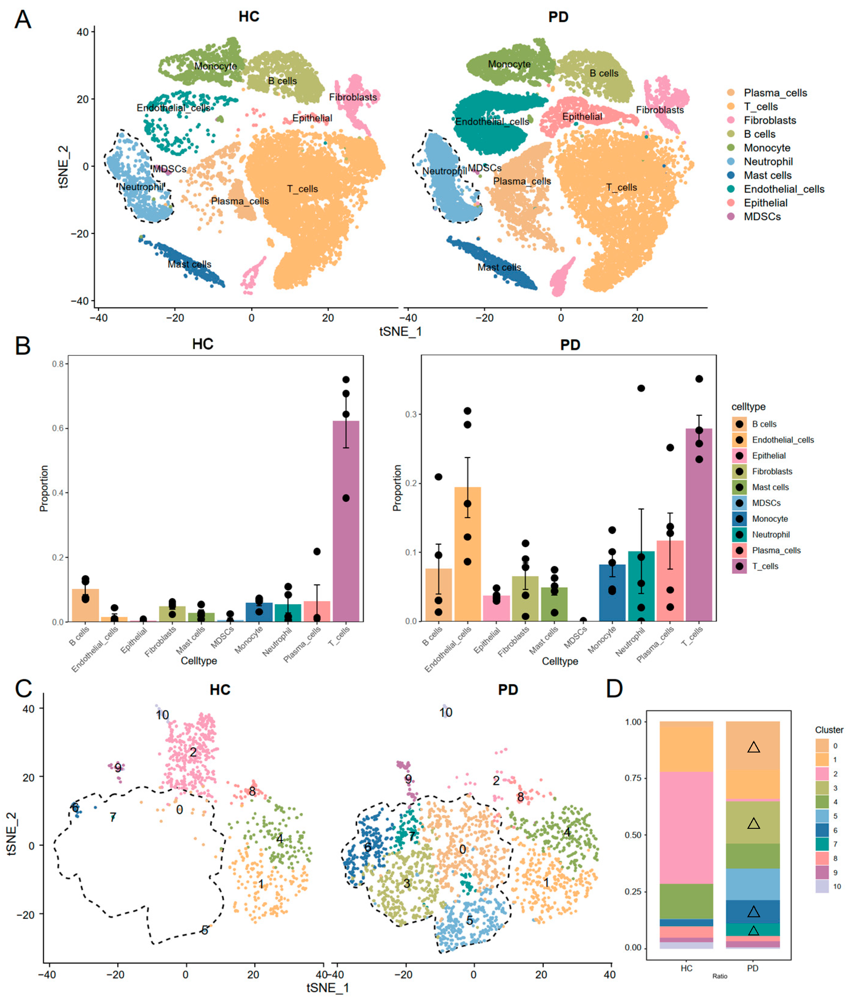 Genes 16 01005 g001 Genes 16 01005 g001