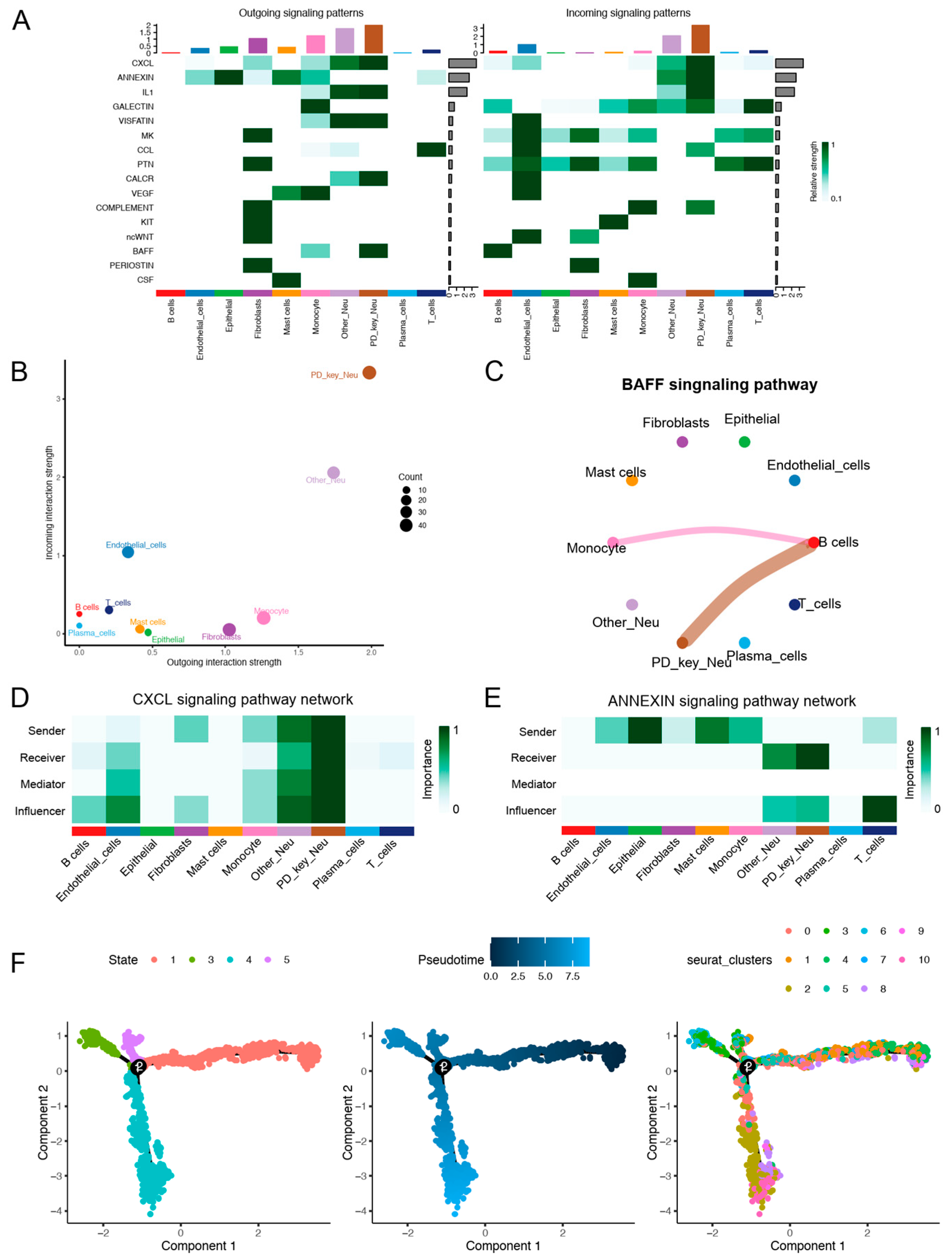 Genes 16 01005 g002 Genes 16 01005 g002