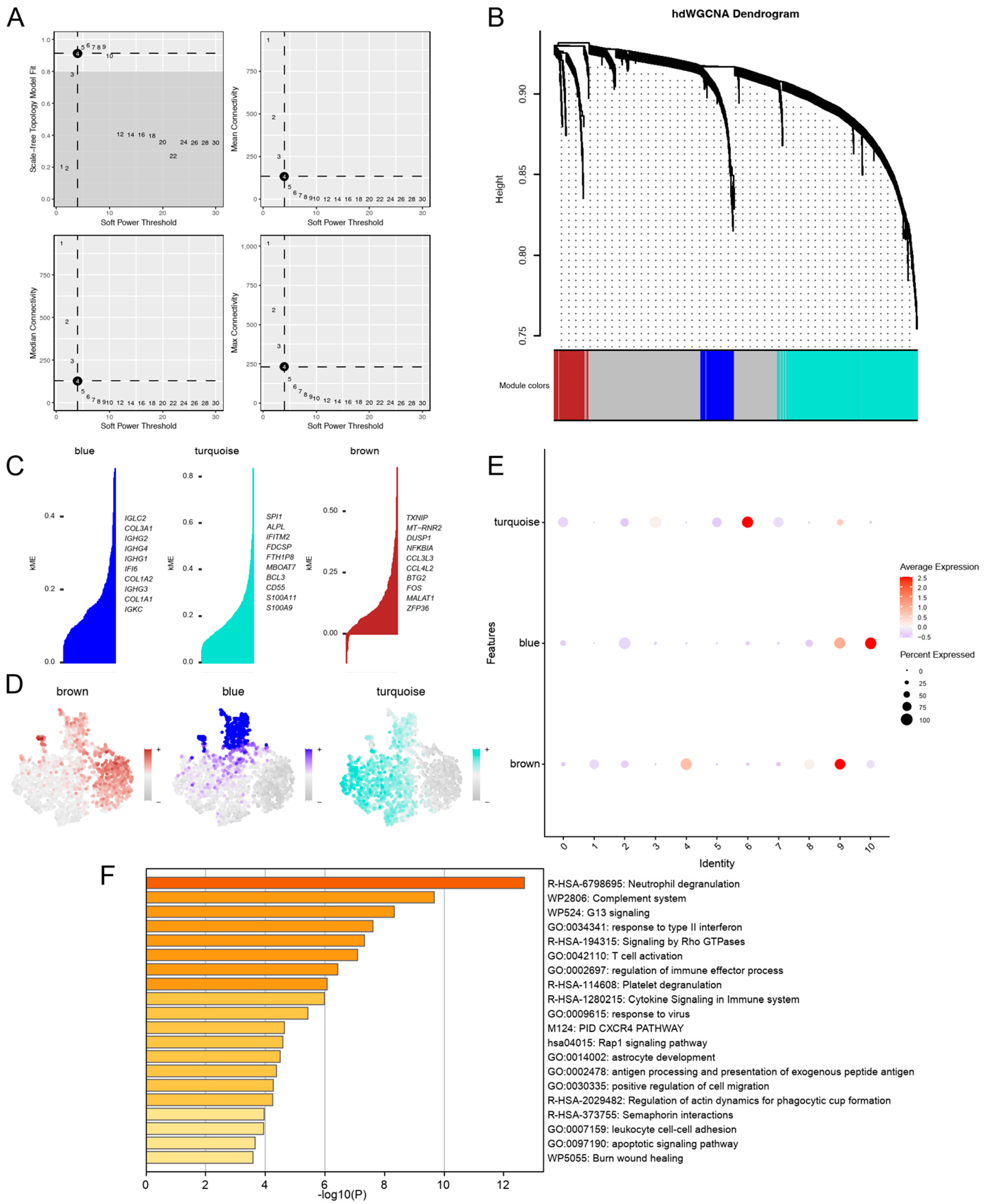 Genes 16 01005 g003 Genes 16 01005 g003