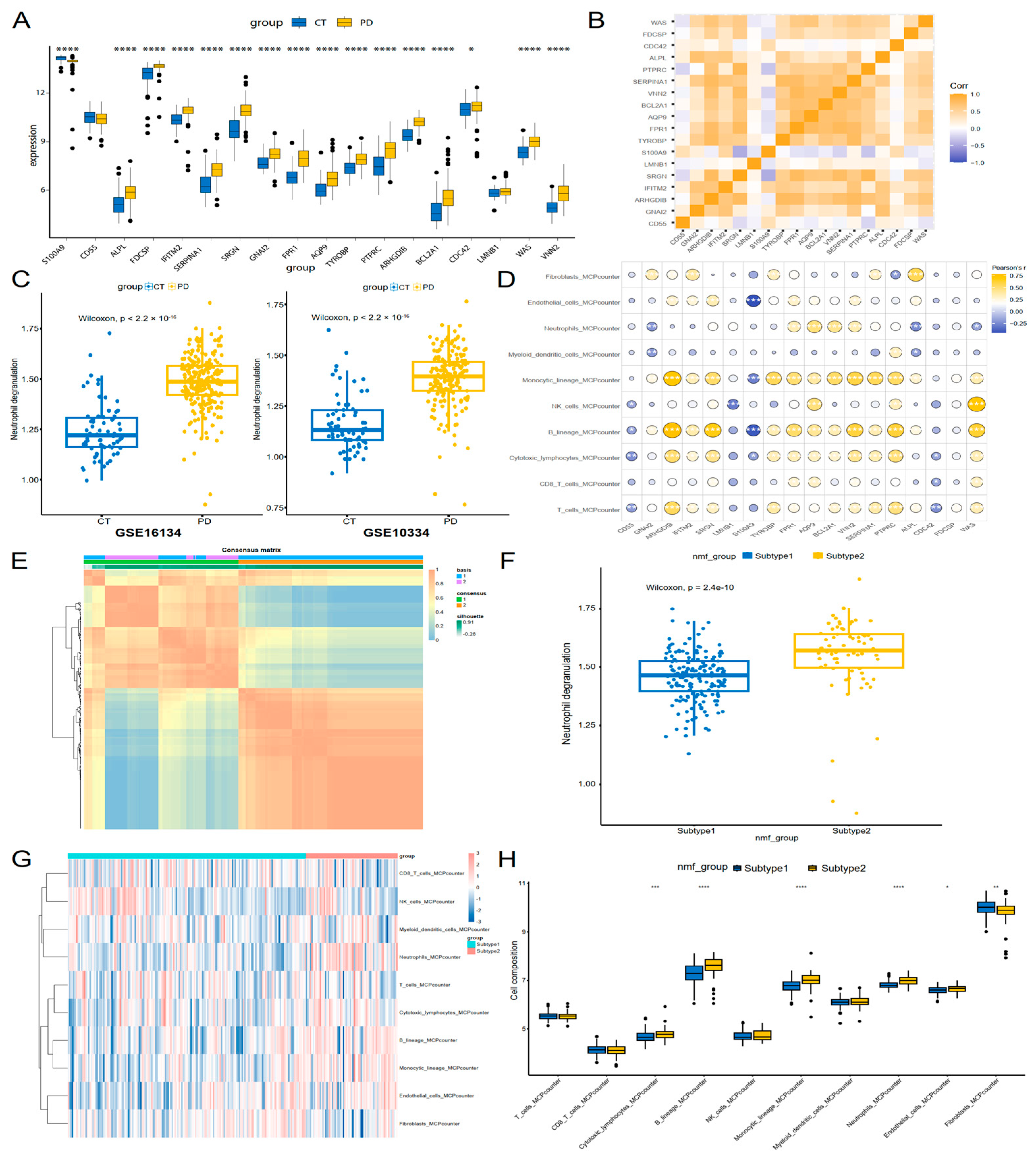 Genes 16 01005 g005 Genes 16 01005 g005