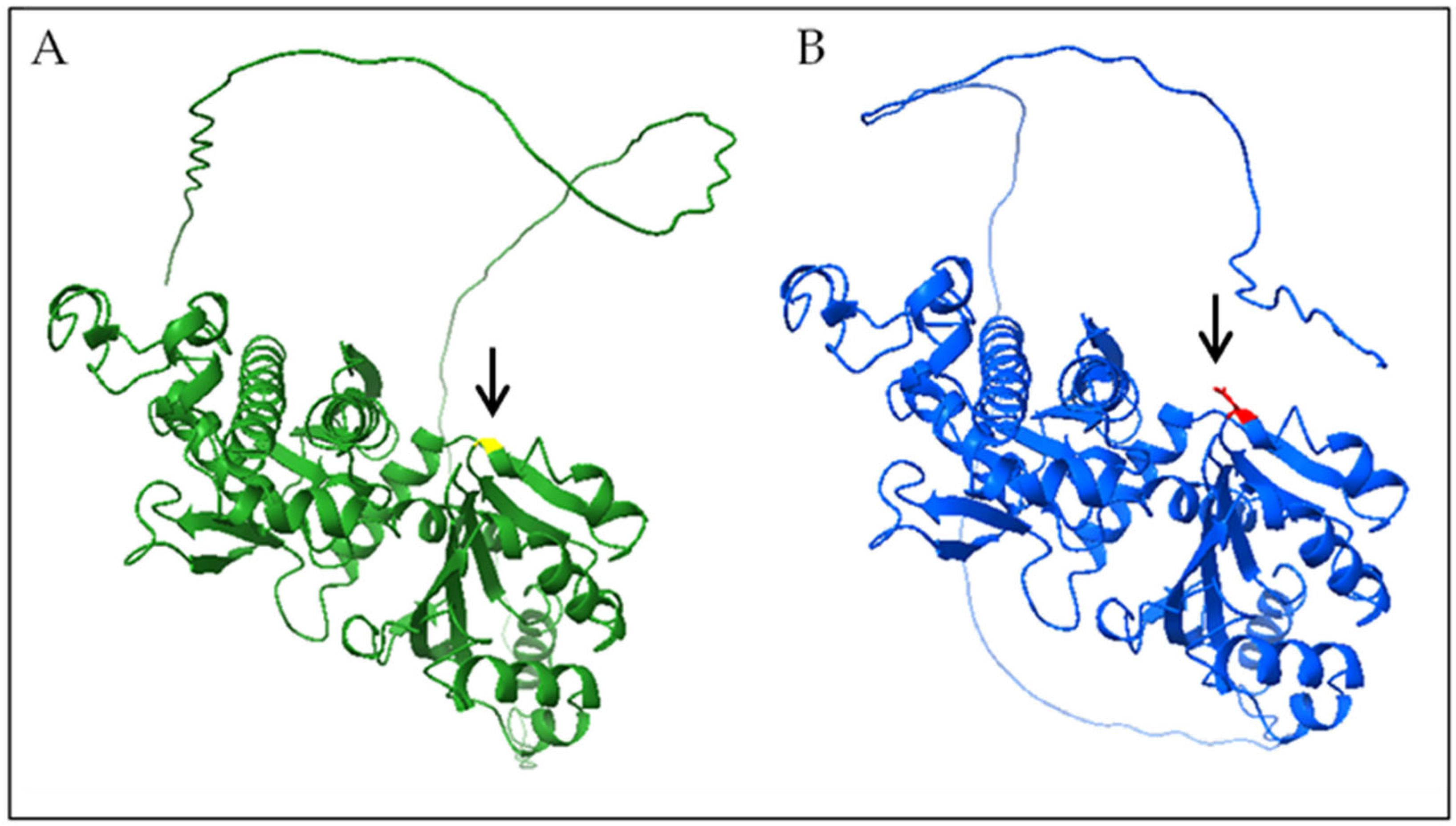 Genes 16 01008 g002 Genes 16 01008 g002
