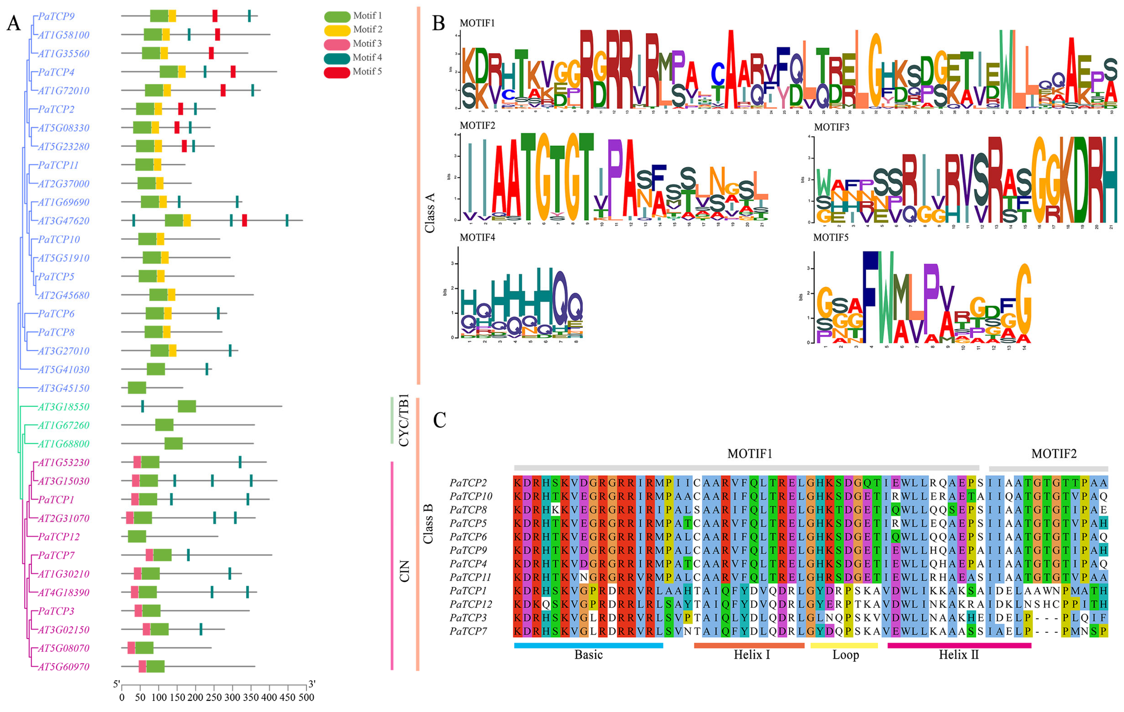 Genes 16 01021 g003 Genes 16 01021 g003