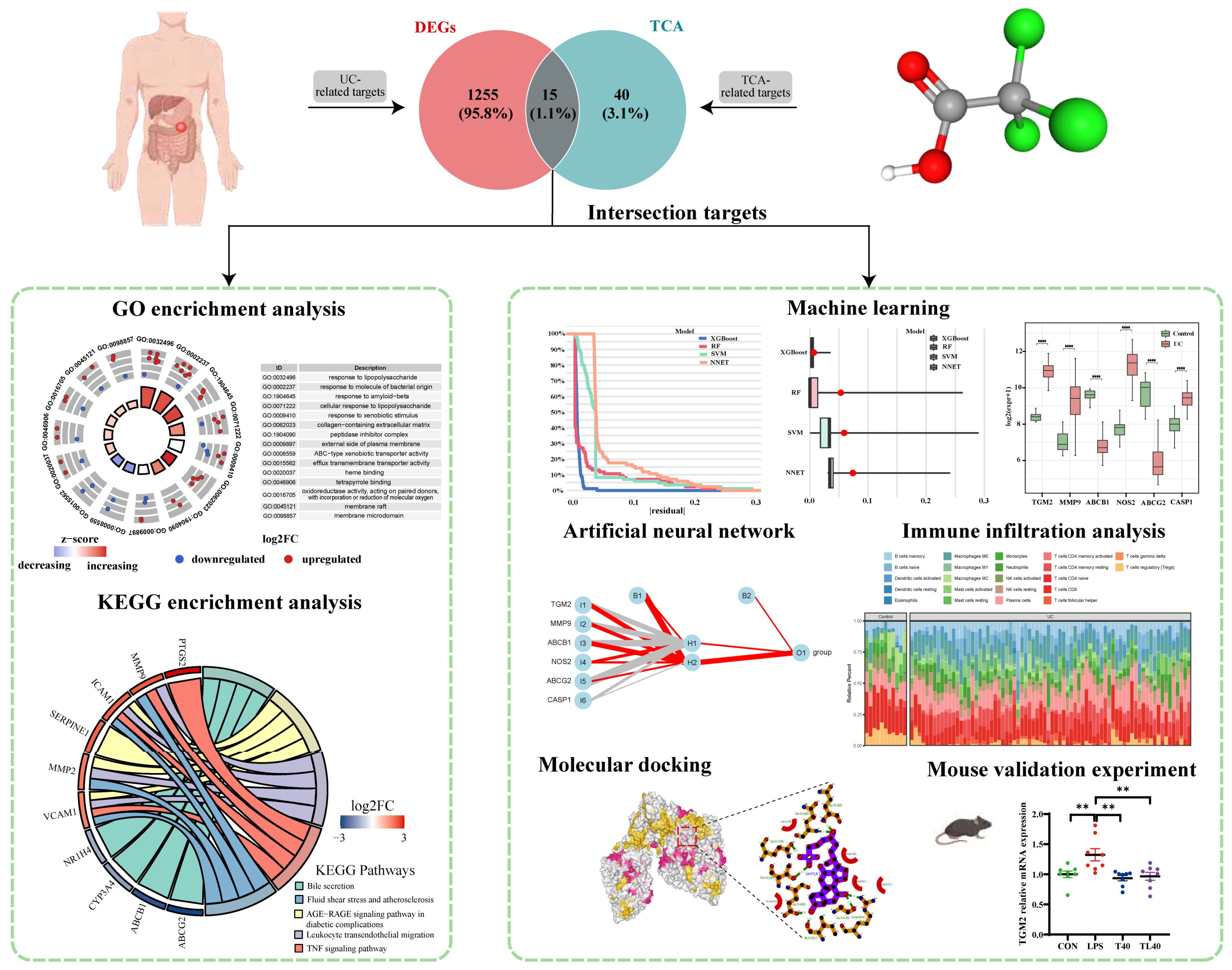Genes 16 01024 g009 Genes 16 01024 g009
