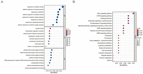Genes 16 01037 g004