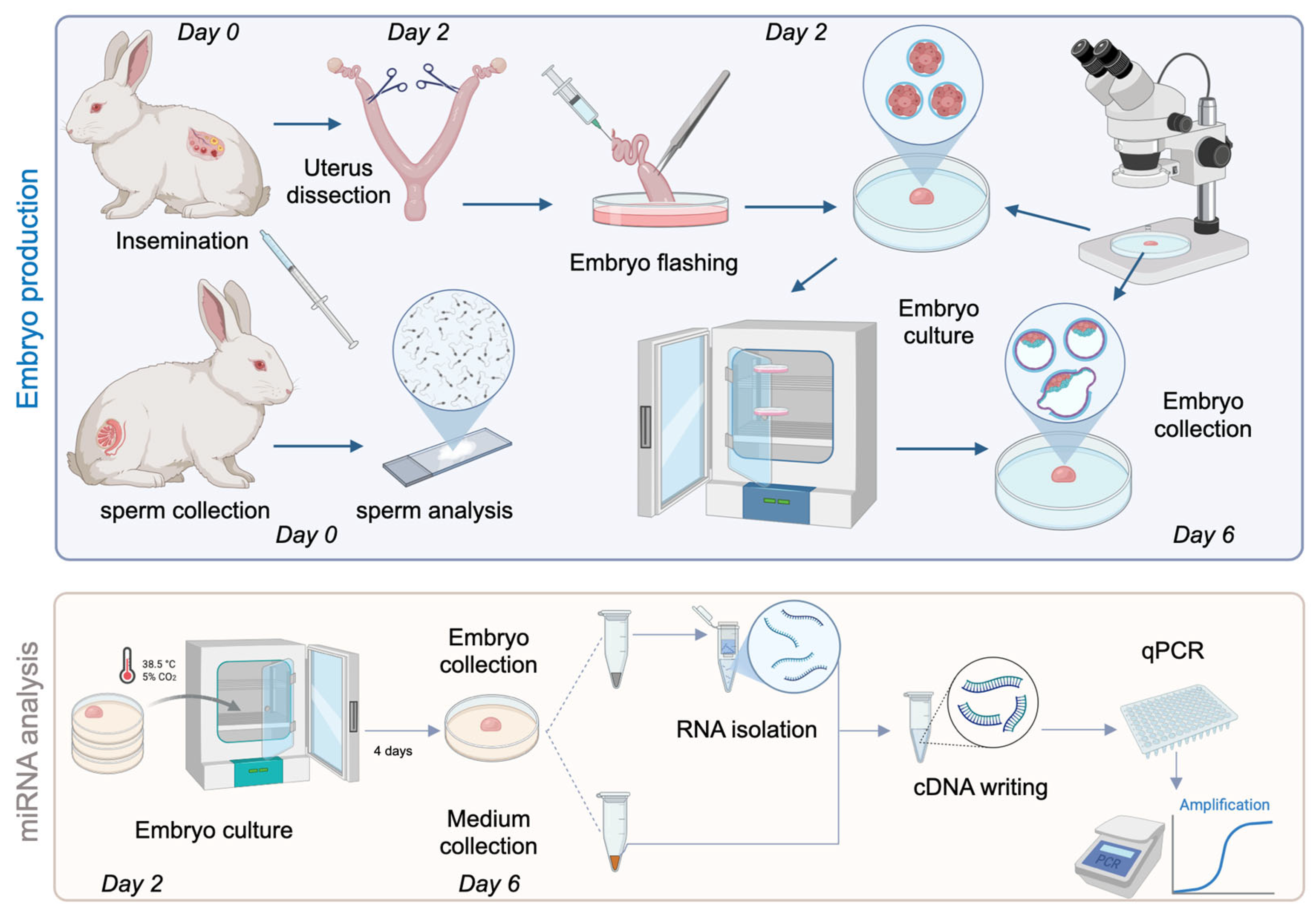 Genes 16 01042 g001 Genes 16 01042 g001
