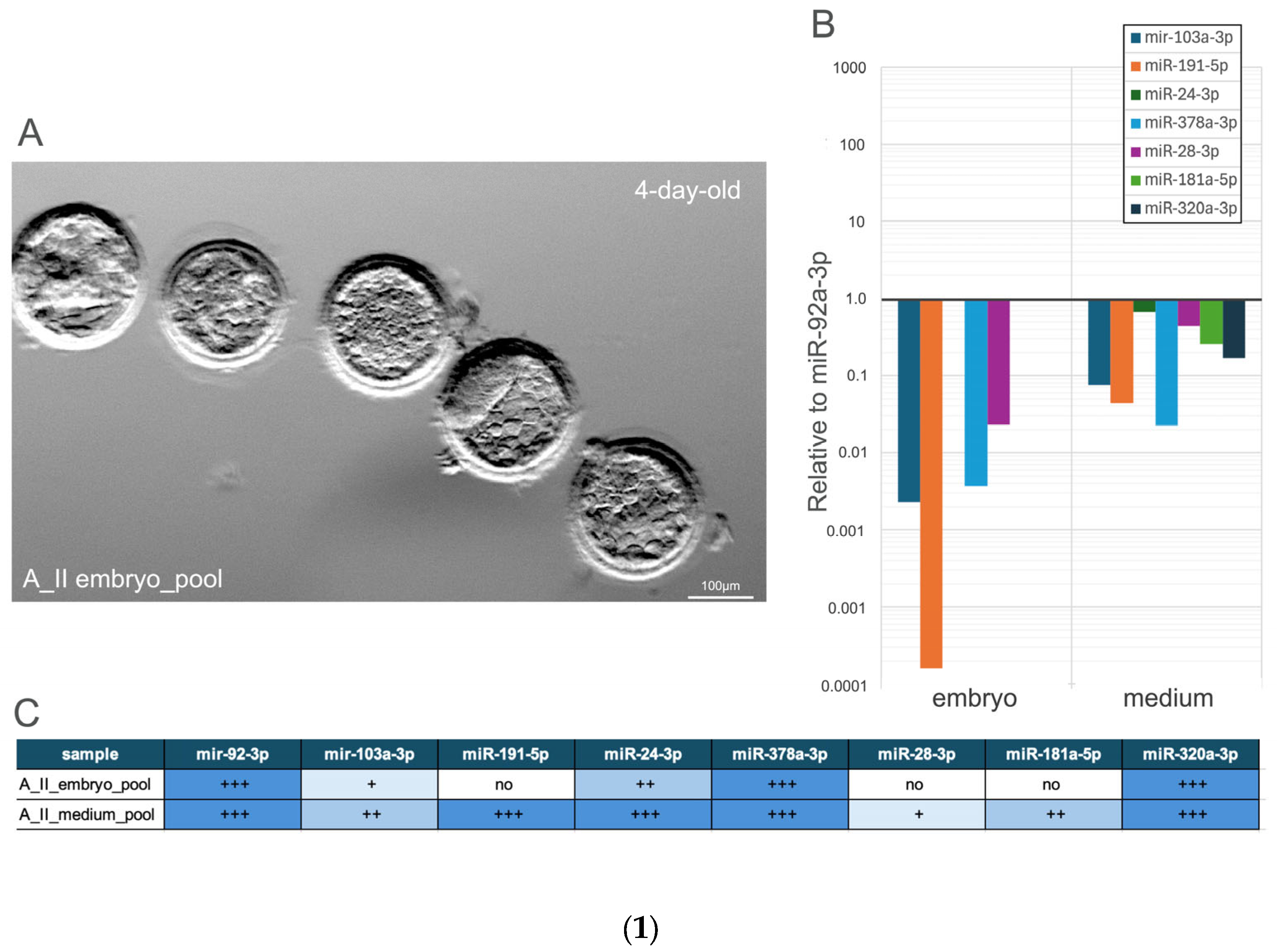 Genes 16 01042 g002a Genes 16 01042 g002a