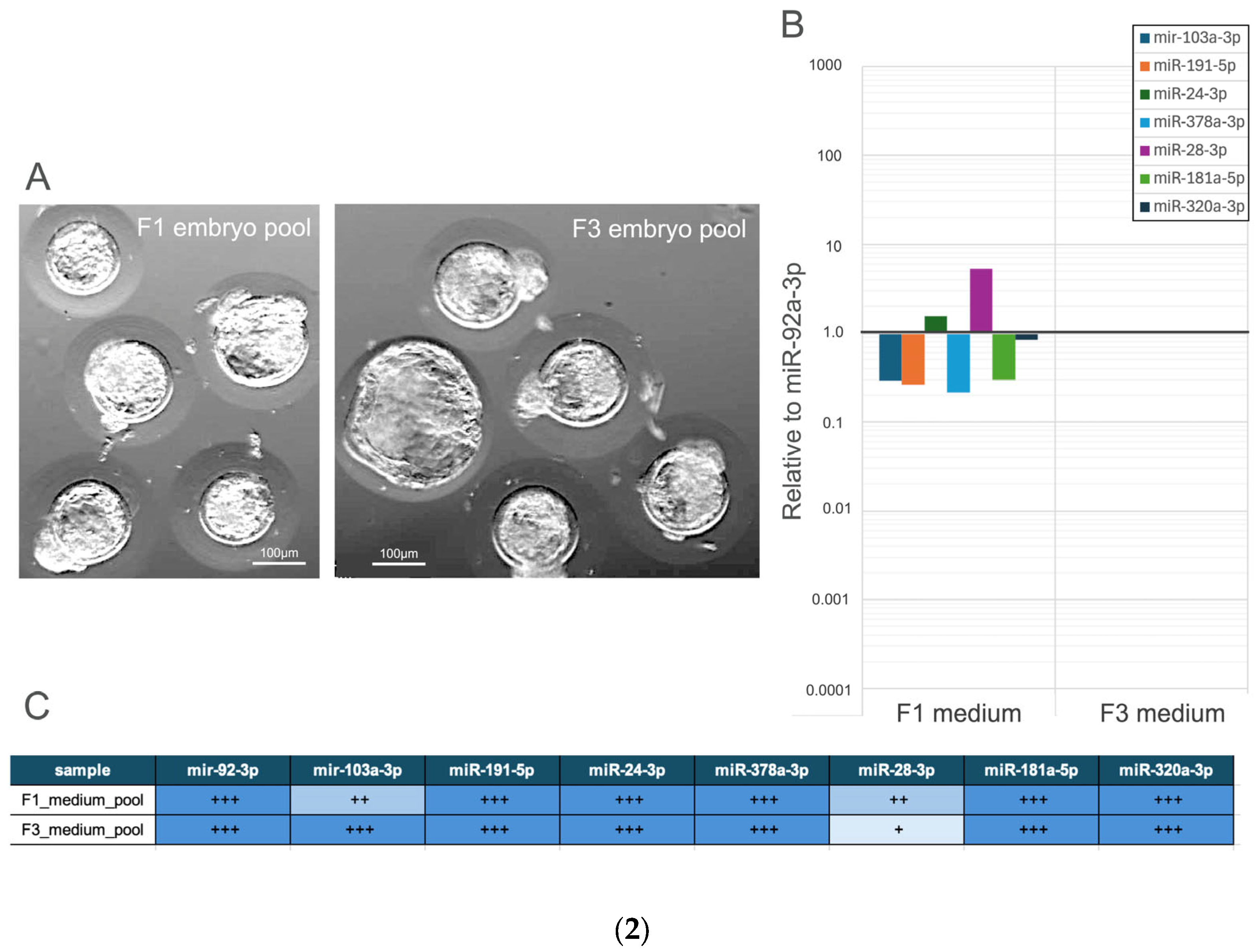 Genes 16 01042 g002b Genes 16 01042 g002b
