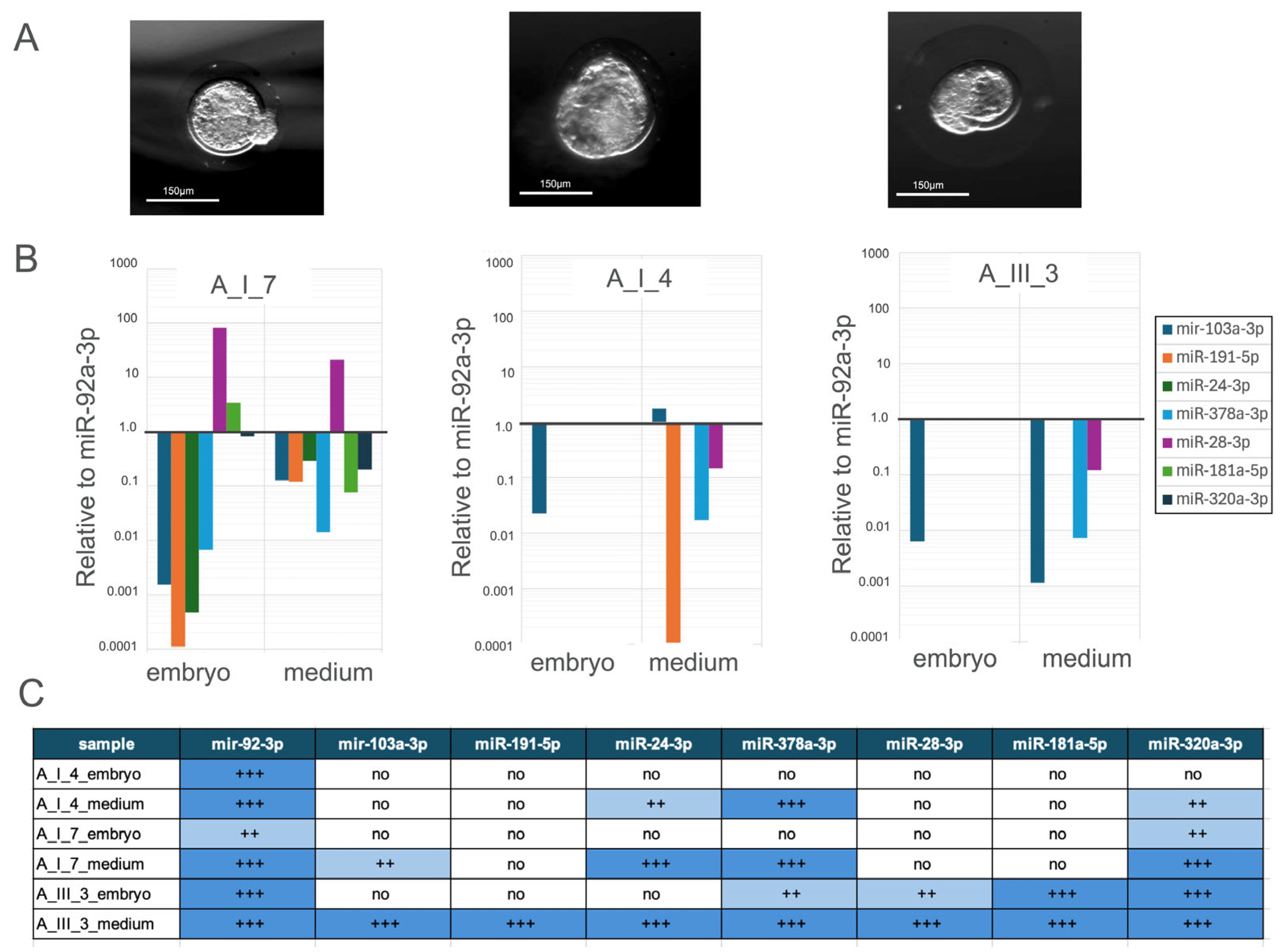 Genes 16 01042 g004 Genes 16 01042 g004