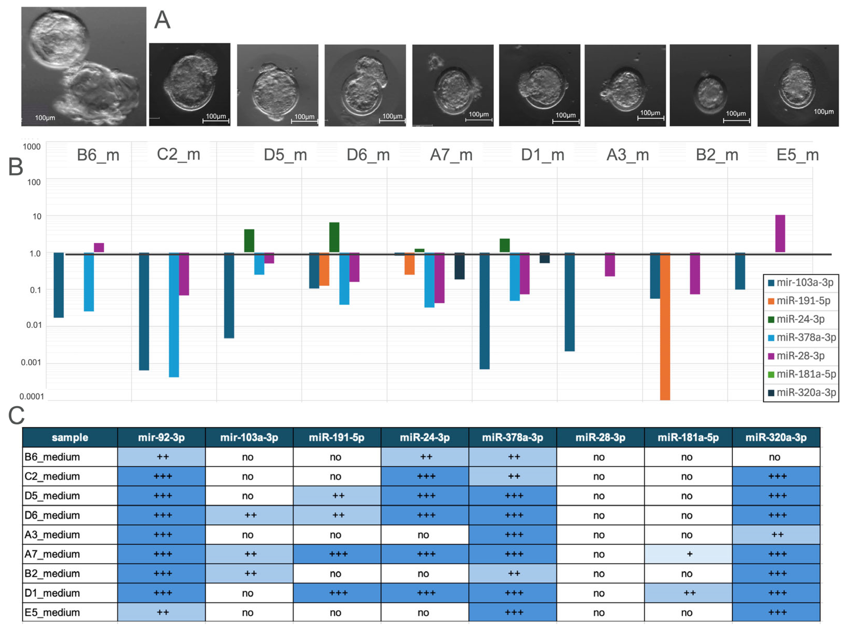 Genes 16 01042 g007 Genes 16 01042 g007
