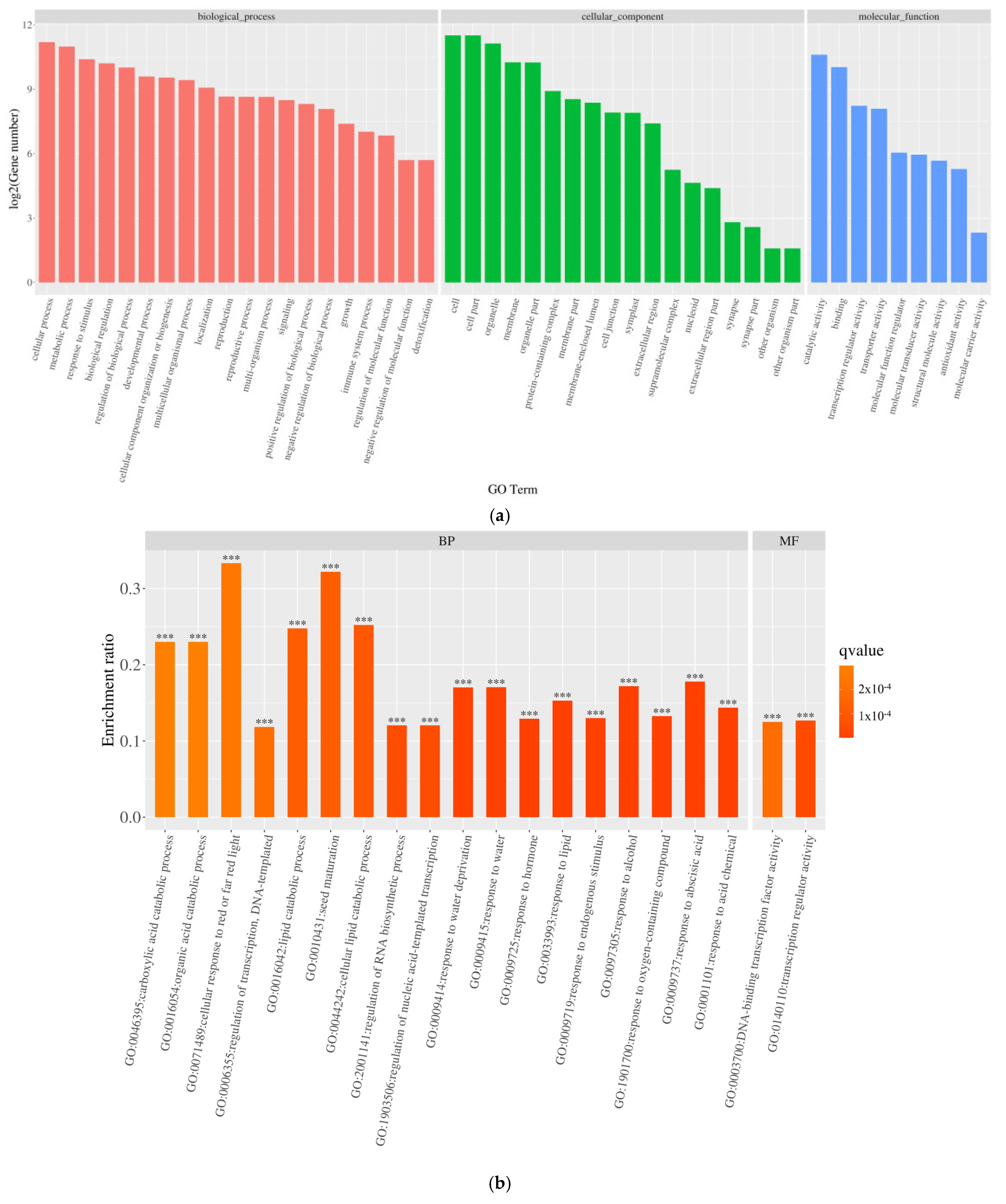 Genes 16 01043 g006a Genes 16 01043 g006a