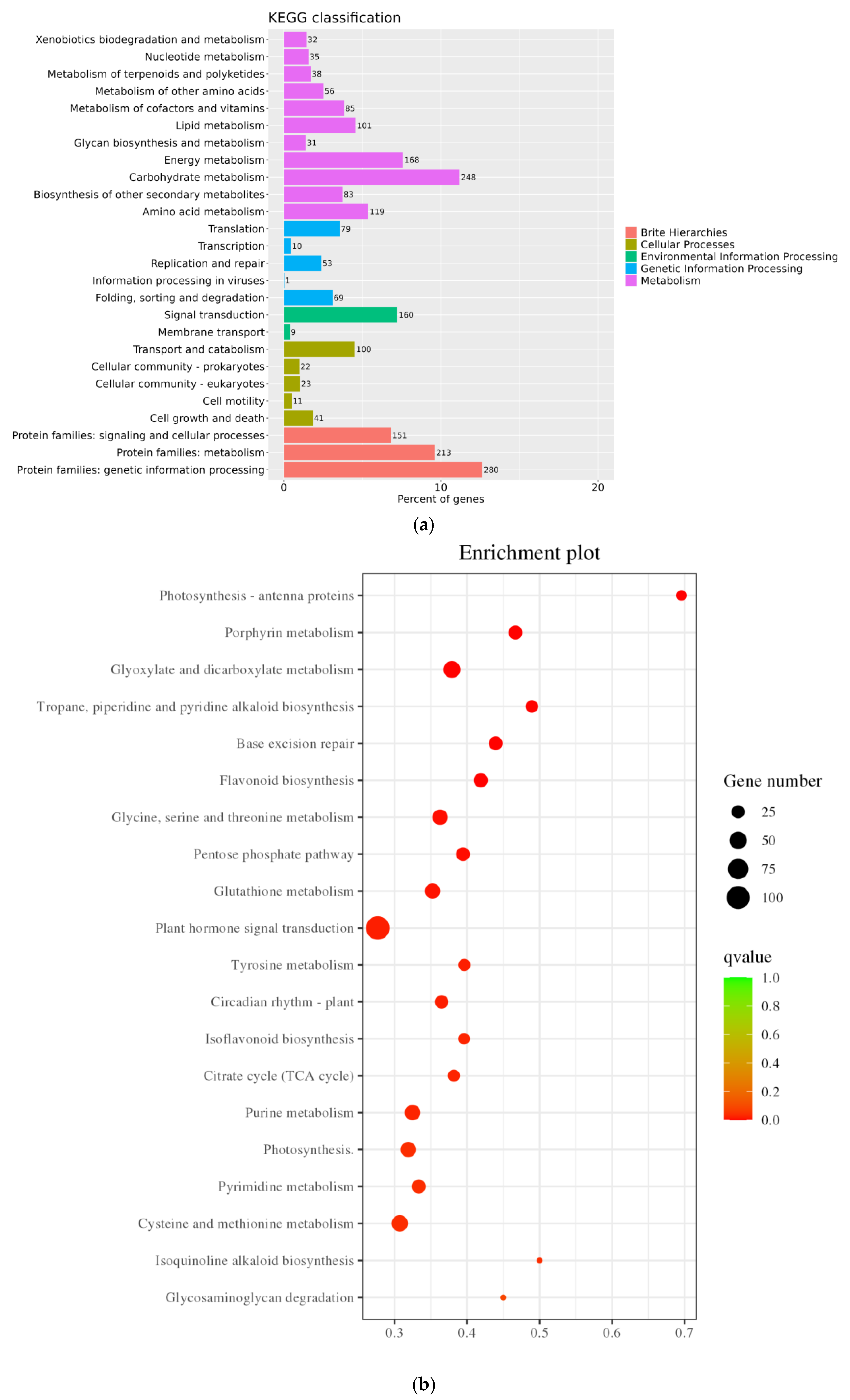 Genes 16 01043 g007a Genes 16 01043 g007a