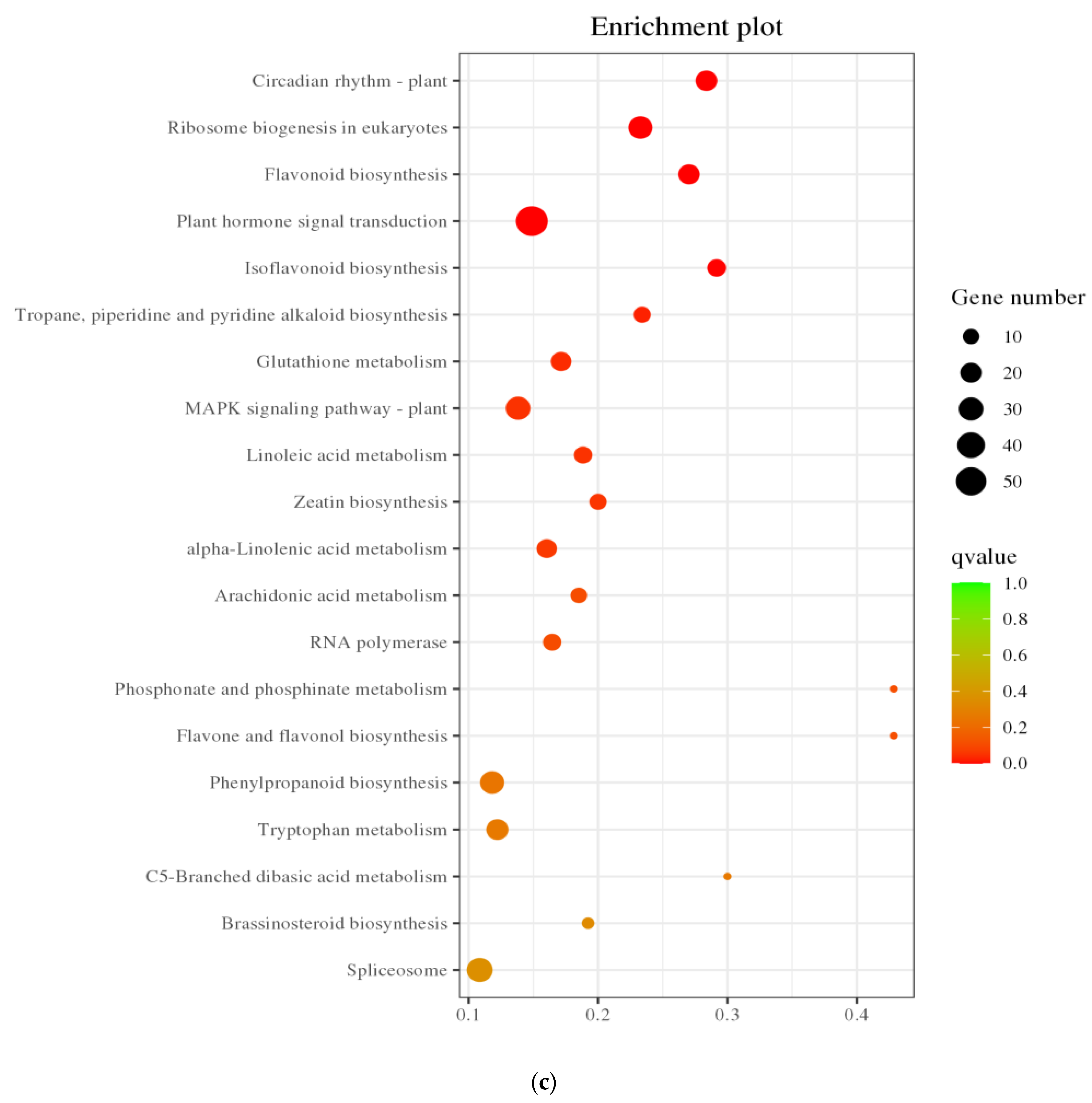 Genes 16 01043 g007b Genes 16 01043 g007b