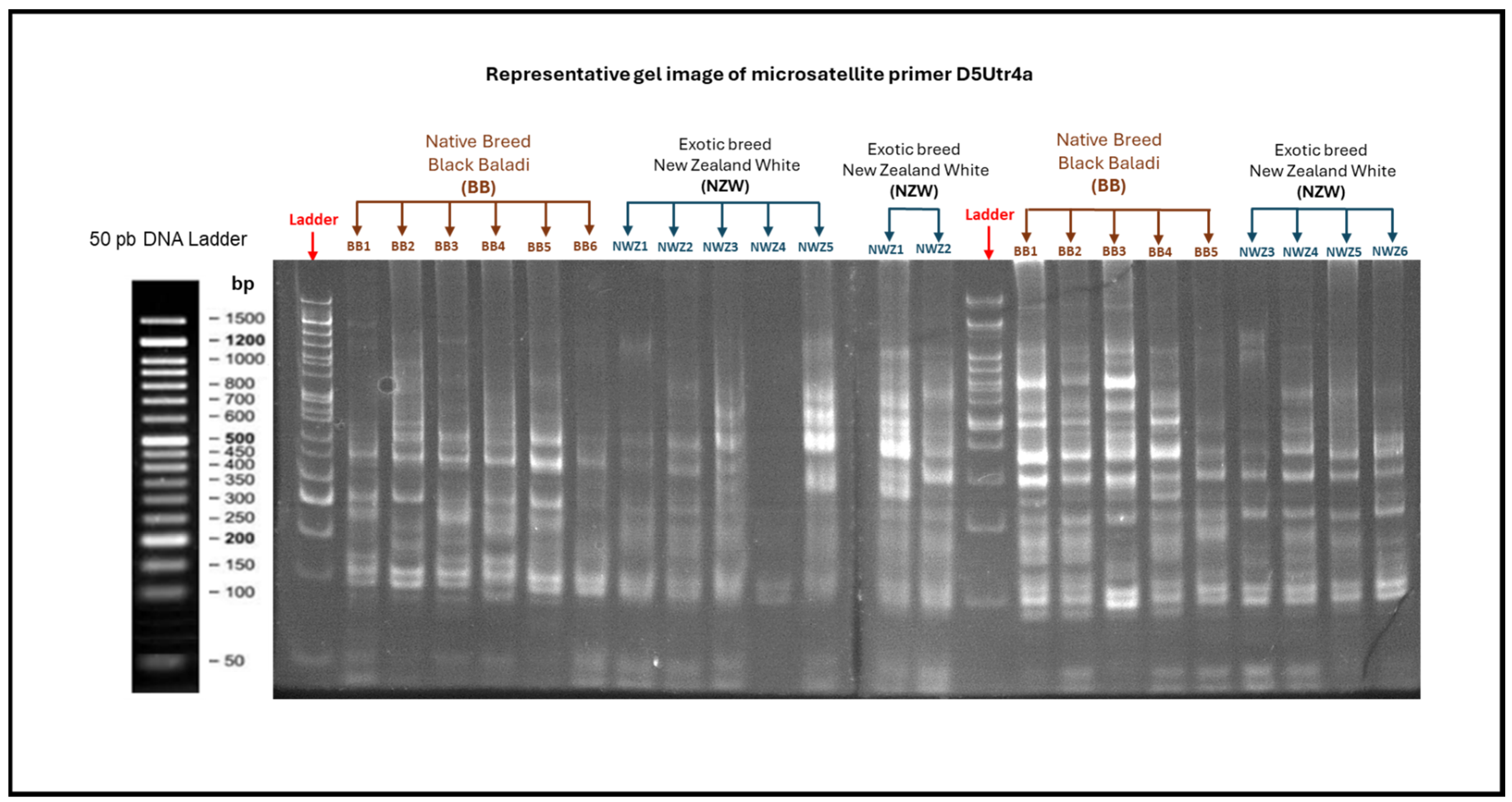 Genes 16 01050 g001 Genes 16 01050 g001
