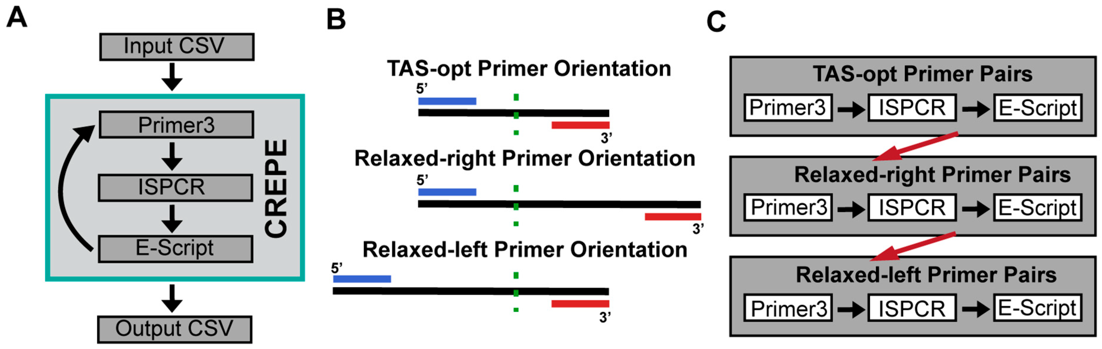 Genes 16 01062 g001 Genes 16 01062 g001