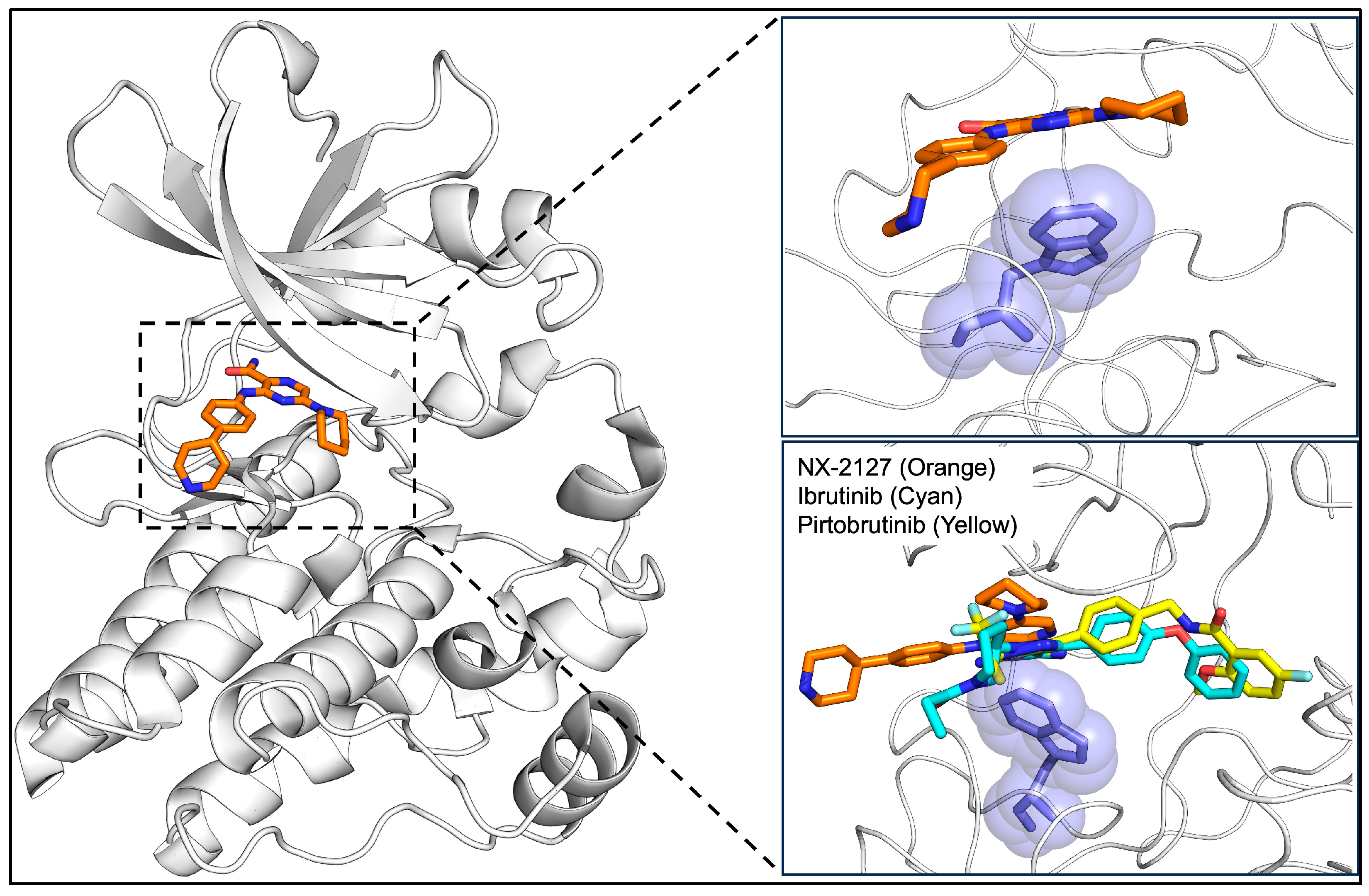 Genes 16 01064 g002 Genes 16 01064 g002