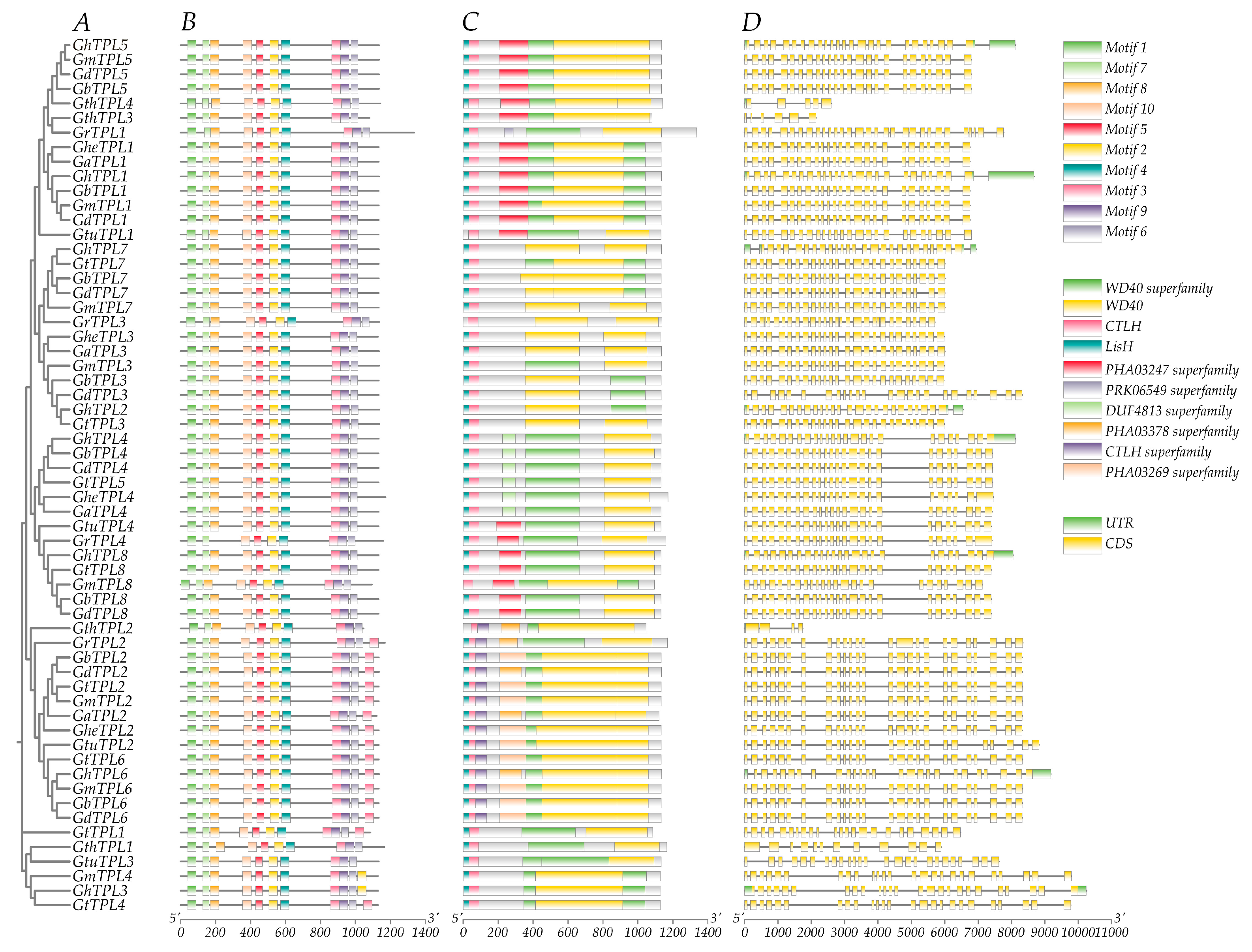 Genes 16 01072 g001 Genes 16 01072 g001